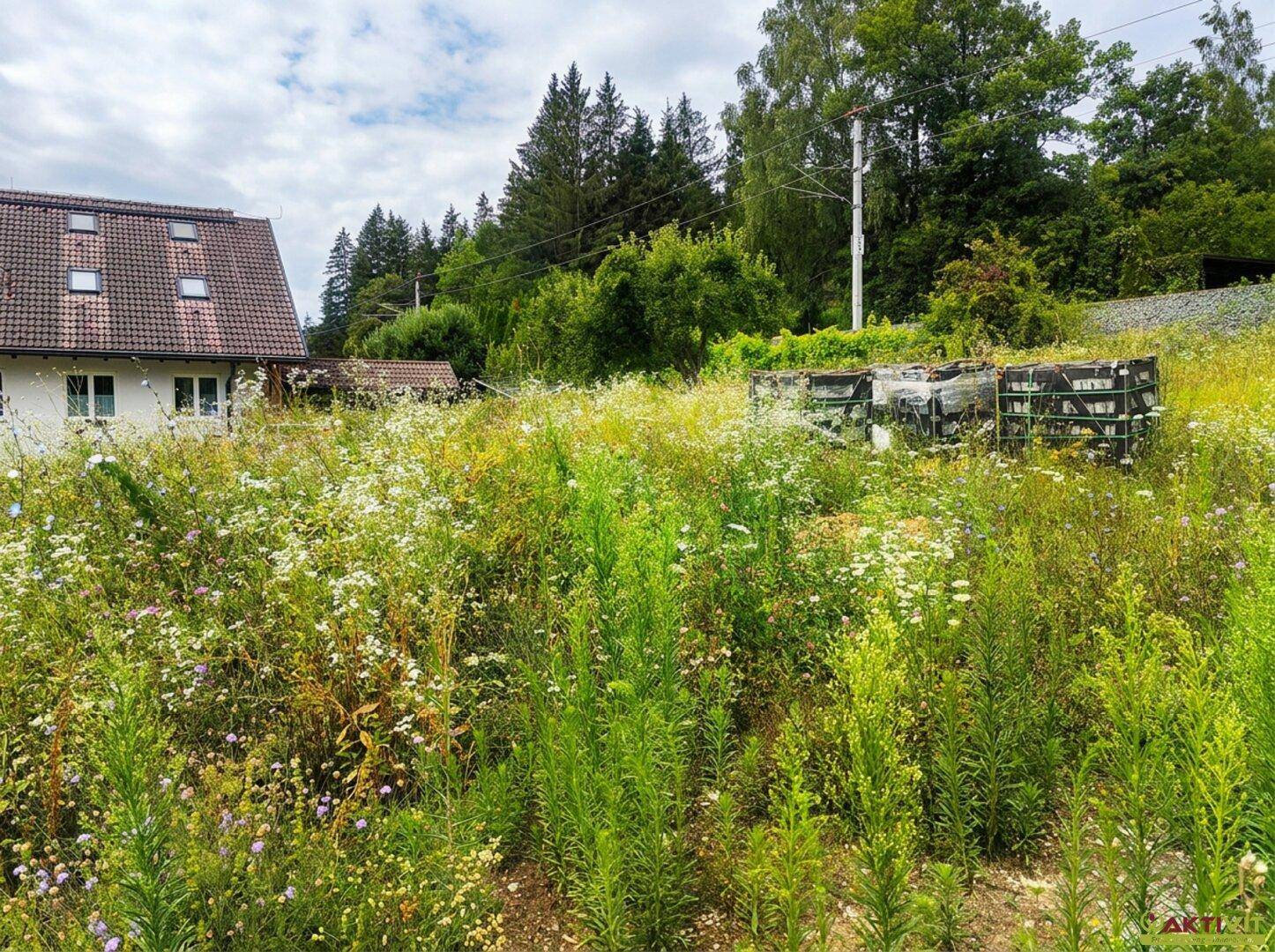 Wild bewachsene Wiese vor einem Haus mit Dachfenstern und Blick auf die Berge.