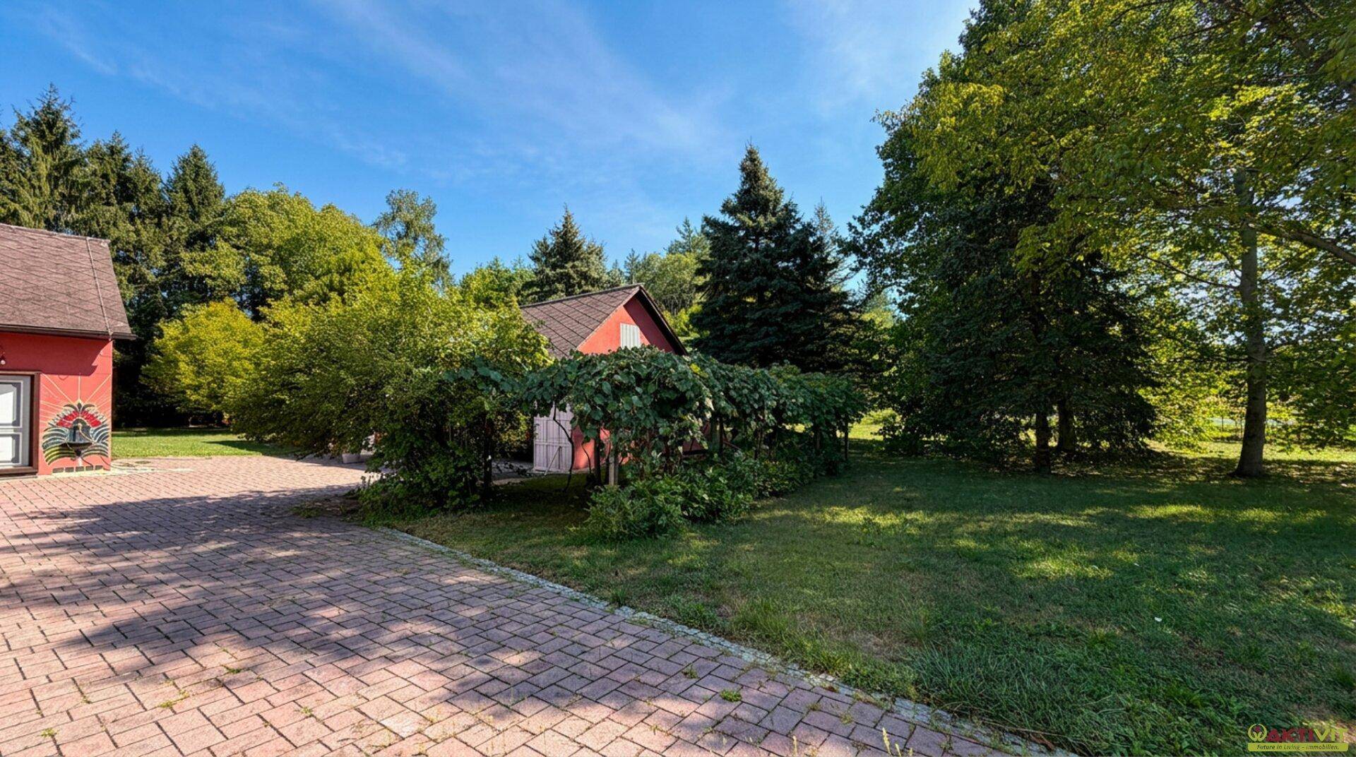 Idyllischer Gartenbereich mit üppigem Rasen, alten Bäumen und einem von Pflanzen bewachsenen Schuppen.