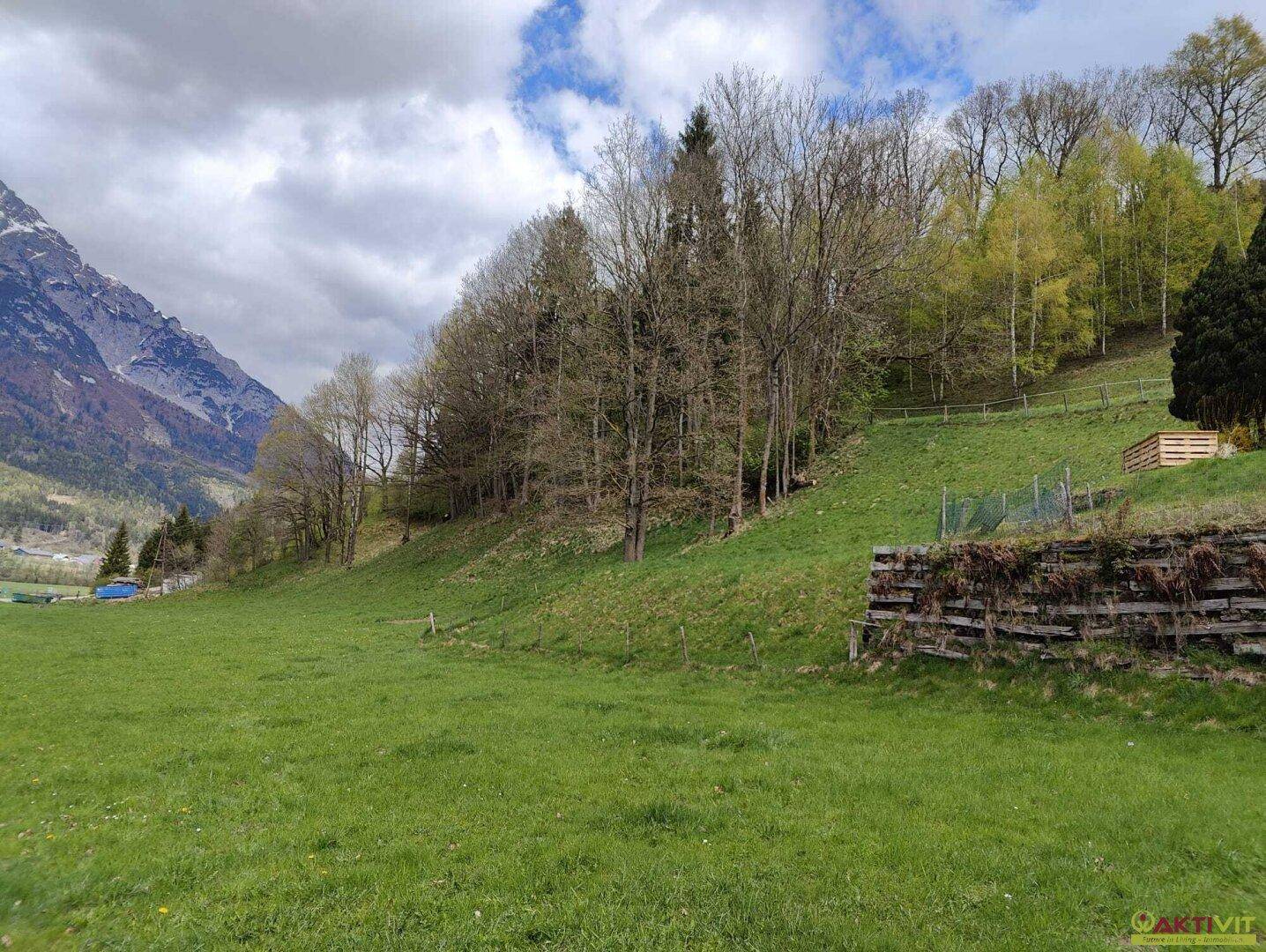 Weitläufige grüne Wiesenlandschaft mit Waldrand und Bergen im Hintergrund unter Wolken.