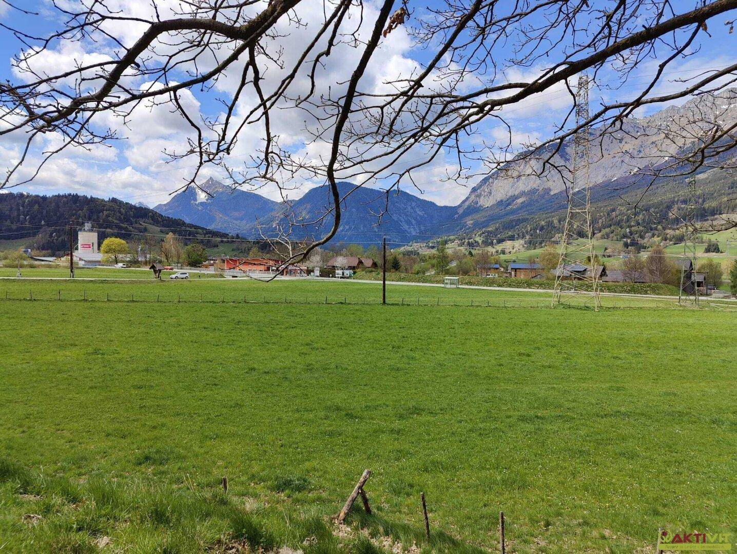 Panoramablick über weite grüne Felder mit majestätischen Bergen im Hintergrund und blauem Himmel.