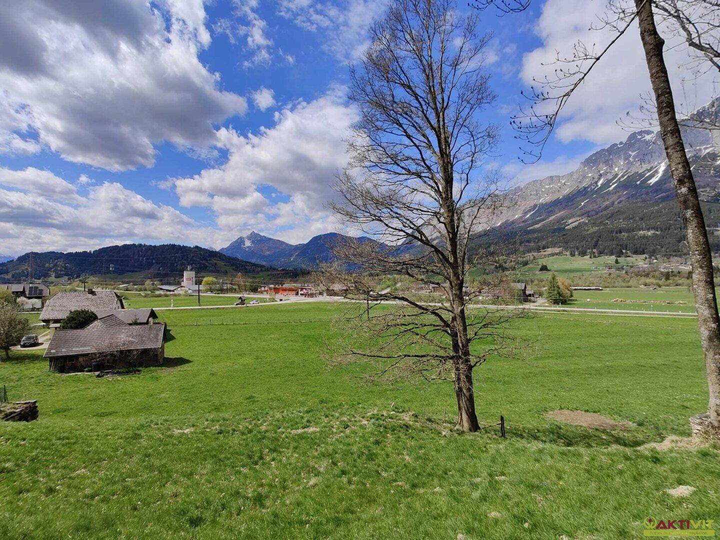 Idyllische Landschaft mit weiten grünen Feldern, einem markanten Baum und schneebedeckten Bergen.