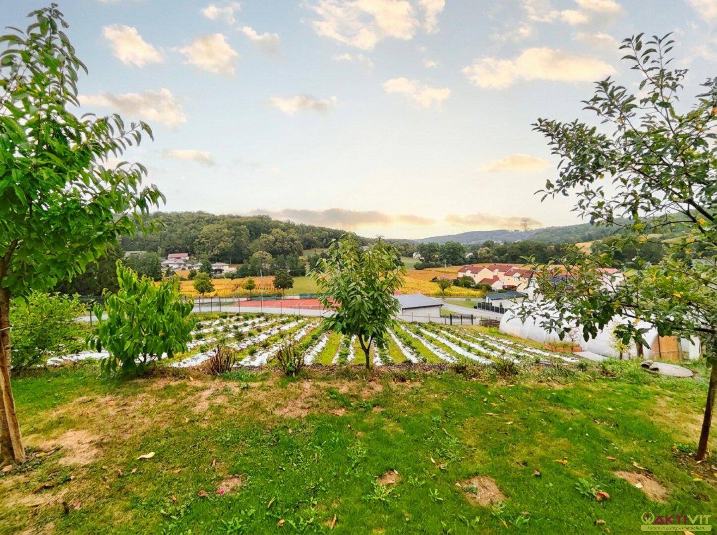 Weitläufiger Gartenbereich mit jungen Bäumen und bepflanzten Reihen, mit Fernblick auf die Landschaft.