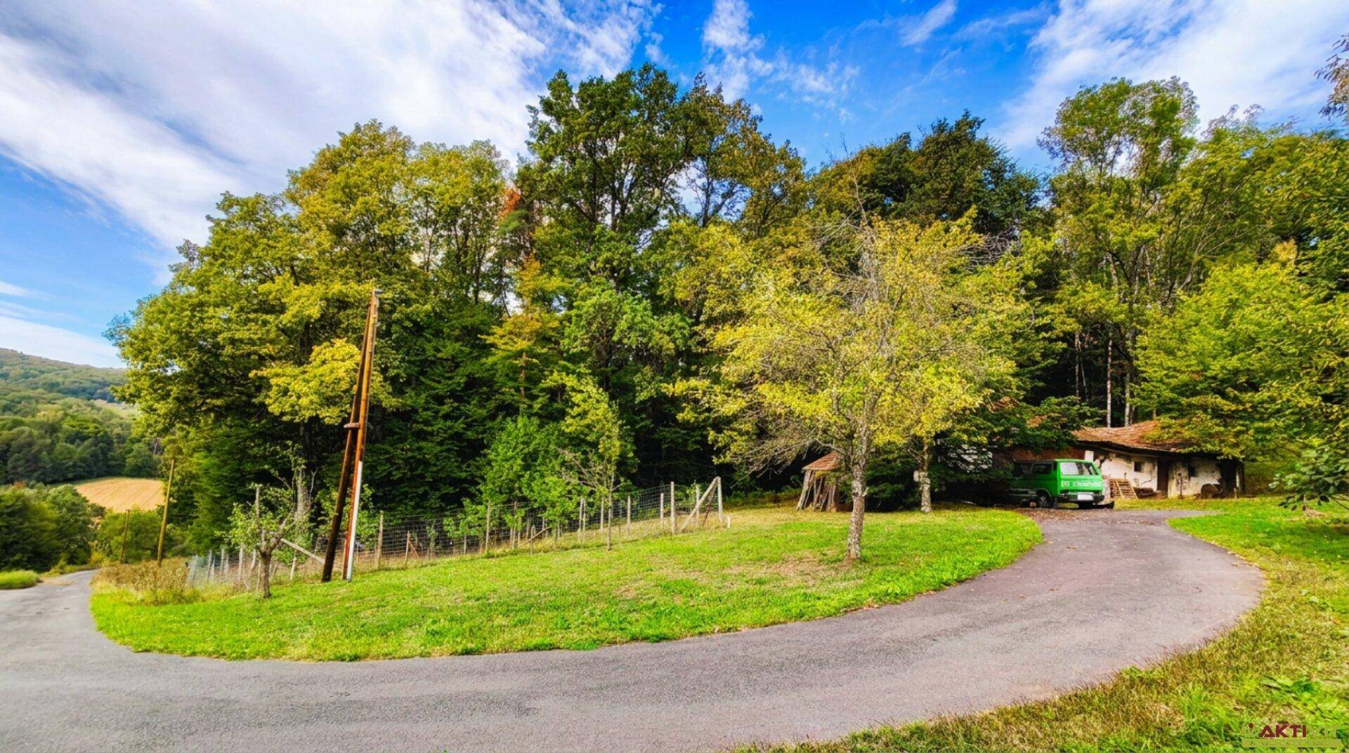 Malerische Landstraße schlängelt sich durch grüne Hügel und Wälder unter blauem Himmel.