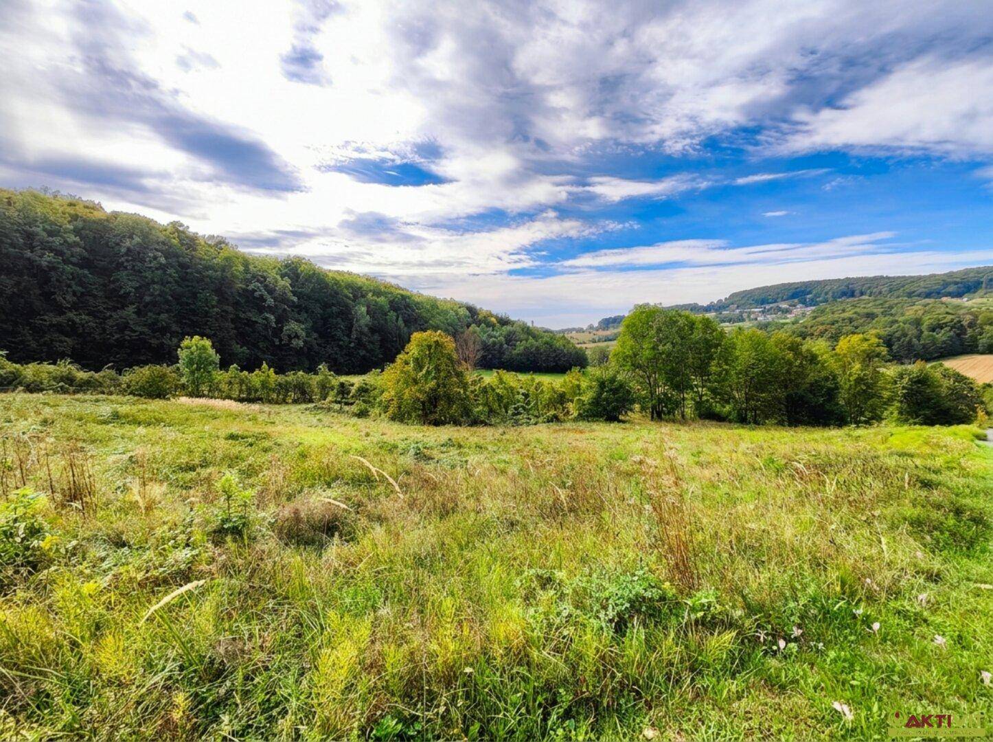 Panoramablick über sanfte grüne Hügel und weite Felder unter einem bewölkten Himmel.