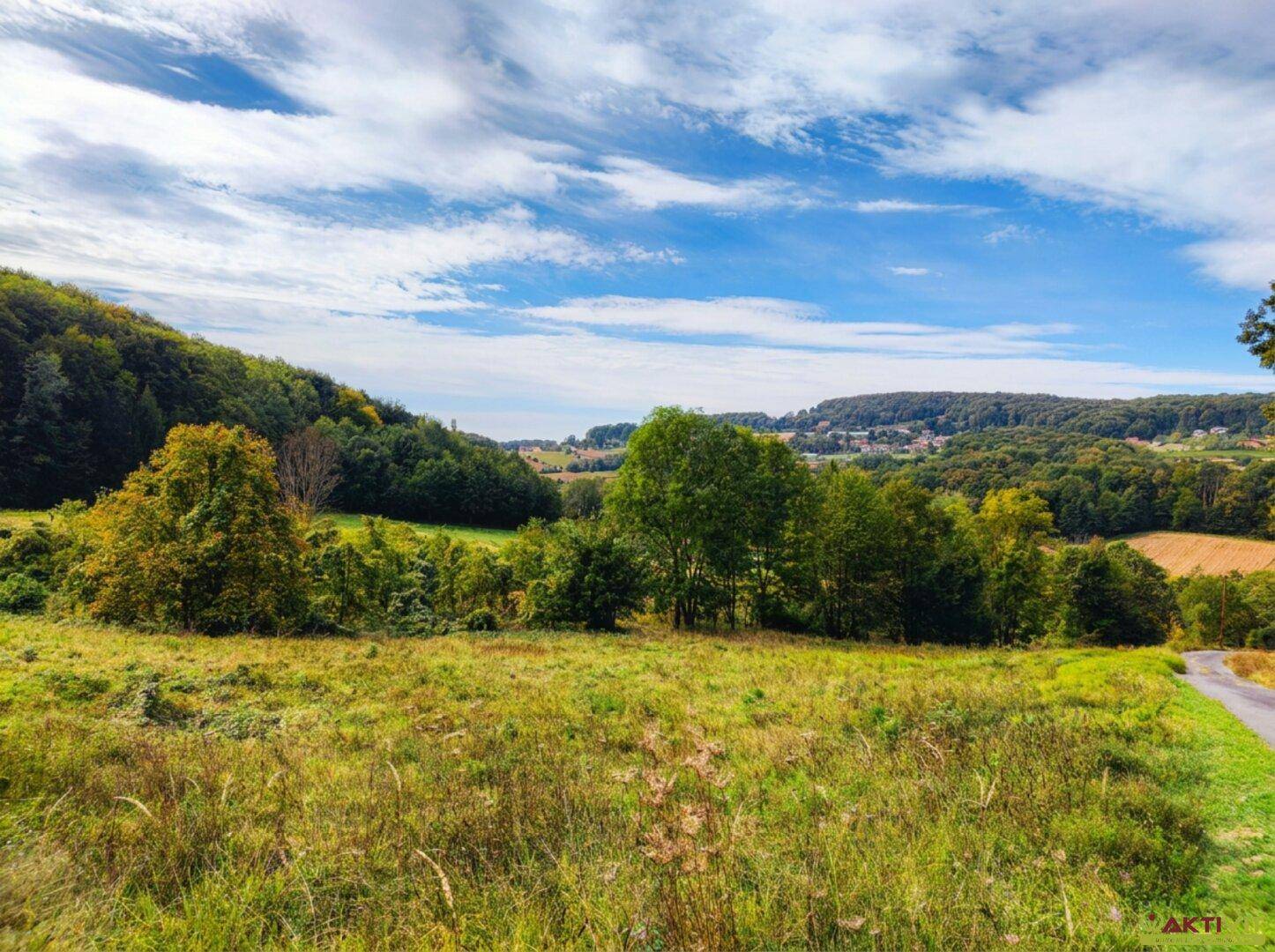Weitläufige grüne Wiesen und bewaldete Hügel unter einem dramatischen Himmel, typisch für die Landschaft.