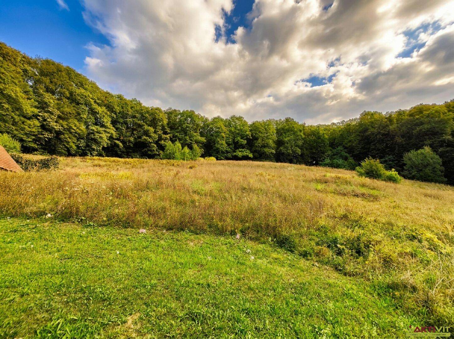 Grüne Hügellandschaft mit weiten Feldern und Waldrändern unter einem dynamischen Wolkenhimmel.