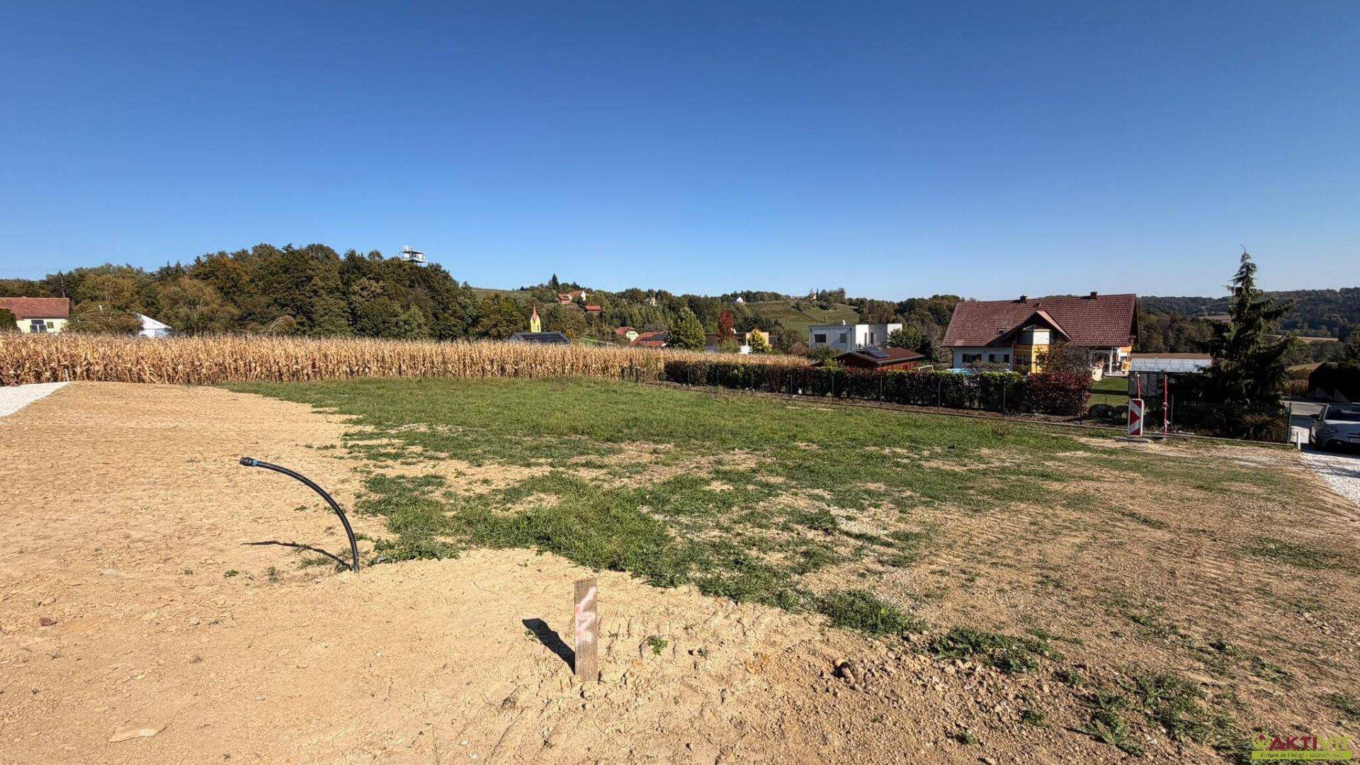 Blick über ein sonniges Grundstück mit angrenzendem Maisfeld und weiteren Häusern in der Ferne.
