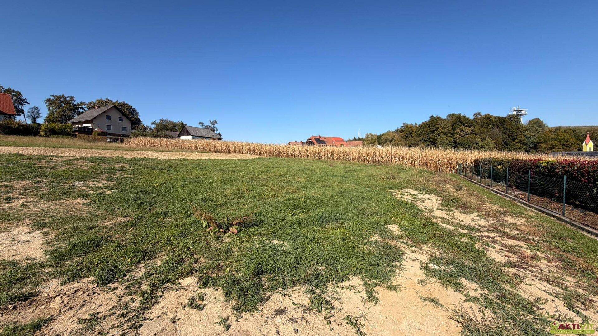 Sonniges Grundstück mit Grasfläche, umgeben von einem Maisfeld und Wohnhäusern am Horizont.