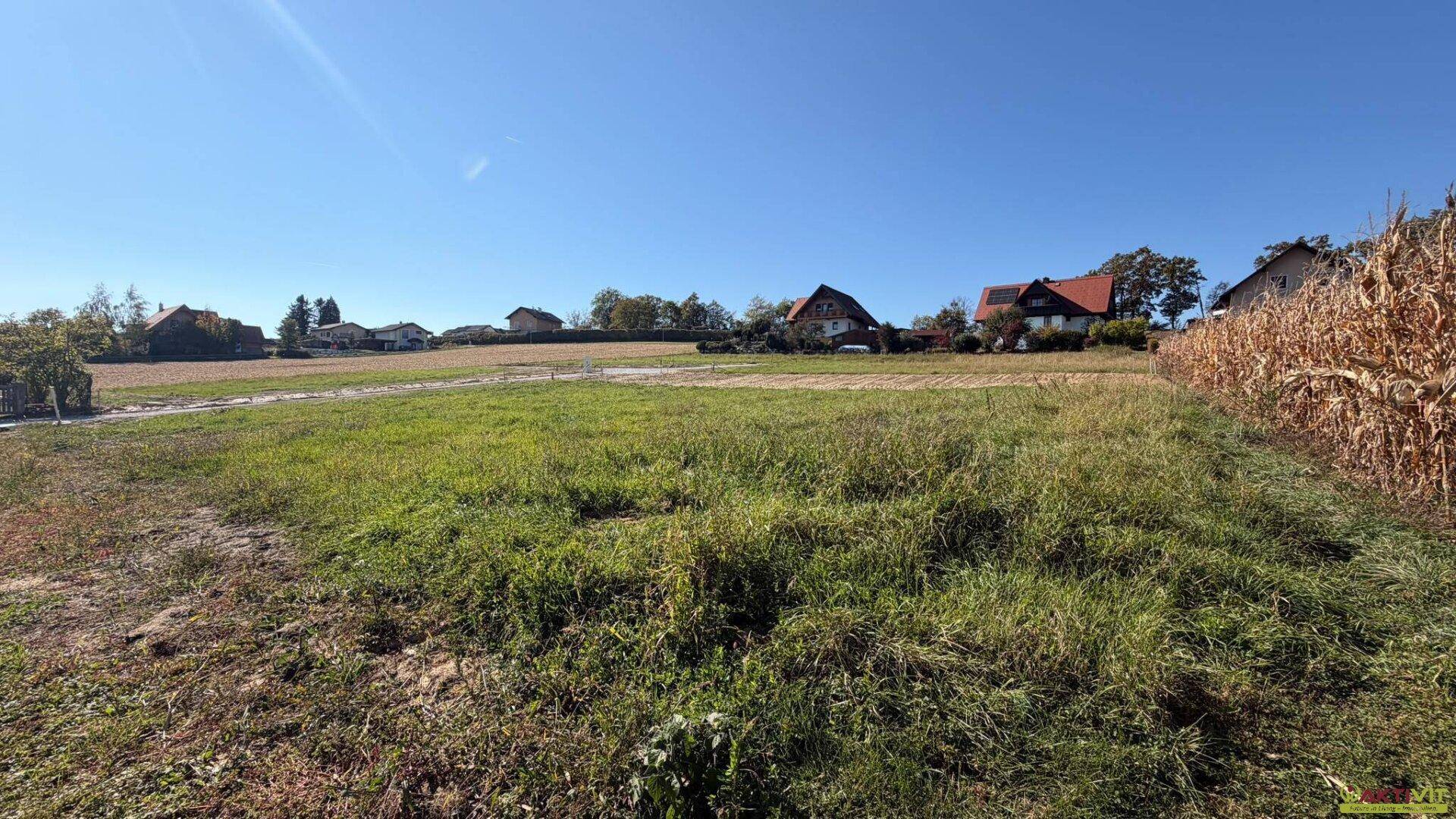 Großes, offenes Grundstück mit Wiesenfläche und ländlicher Umgebung unter klarem, blauem Himmel.