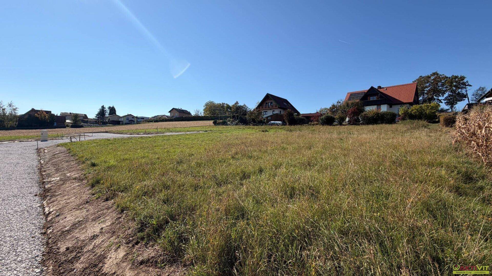 Weitläufiges, sonniges Grundstück mit hohem Gras und Blick auf umliegende Wohnhäuser.