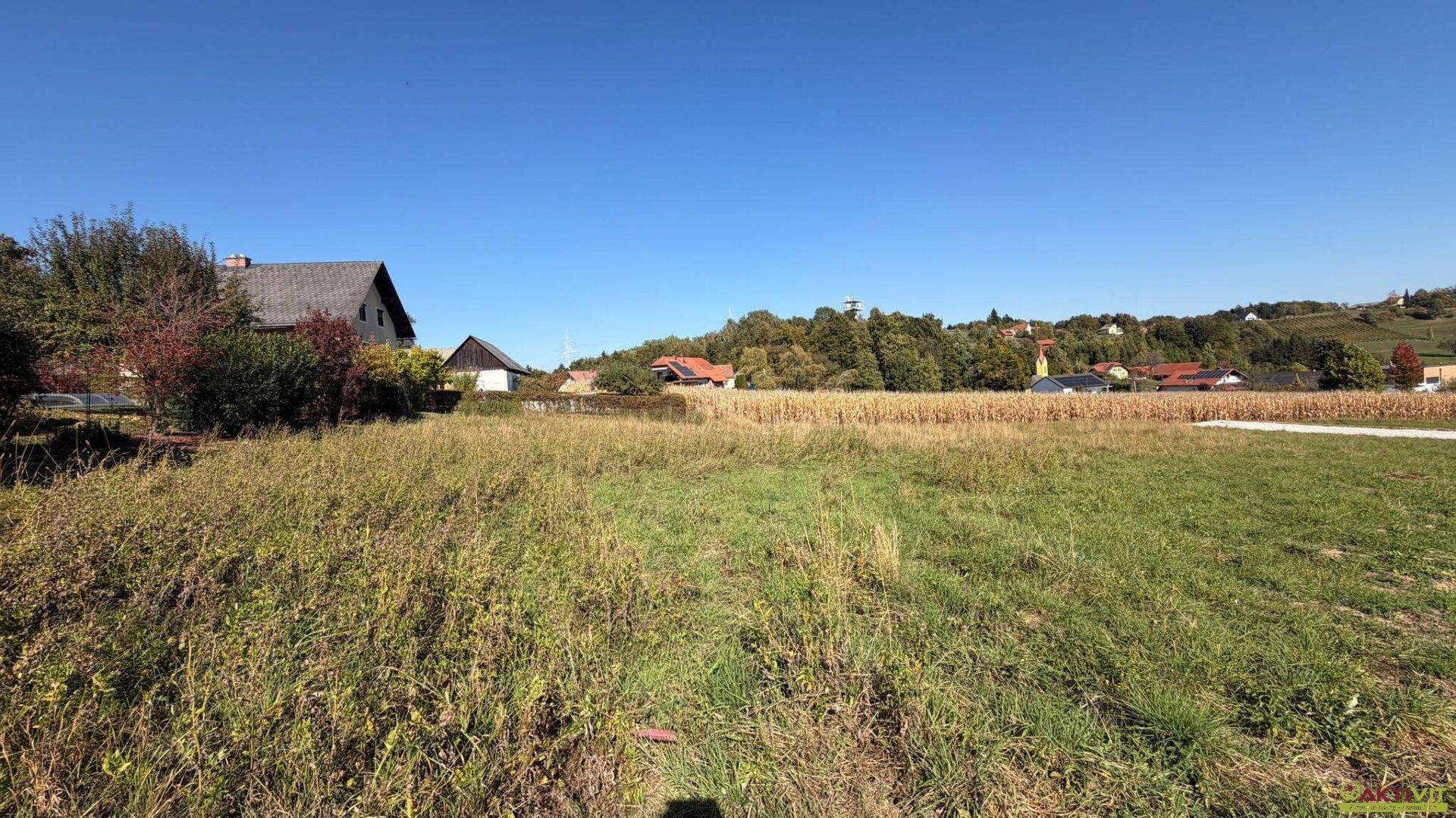 Weitläufiges Grundstück mit hohem Gras und Blick auf die umliegende ländliche Landschaft.
