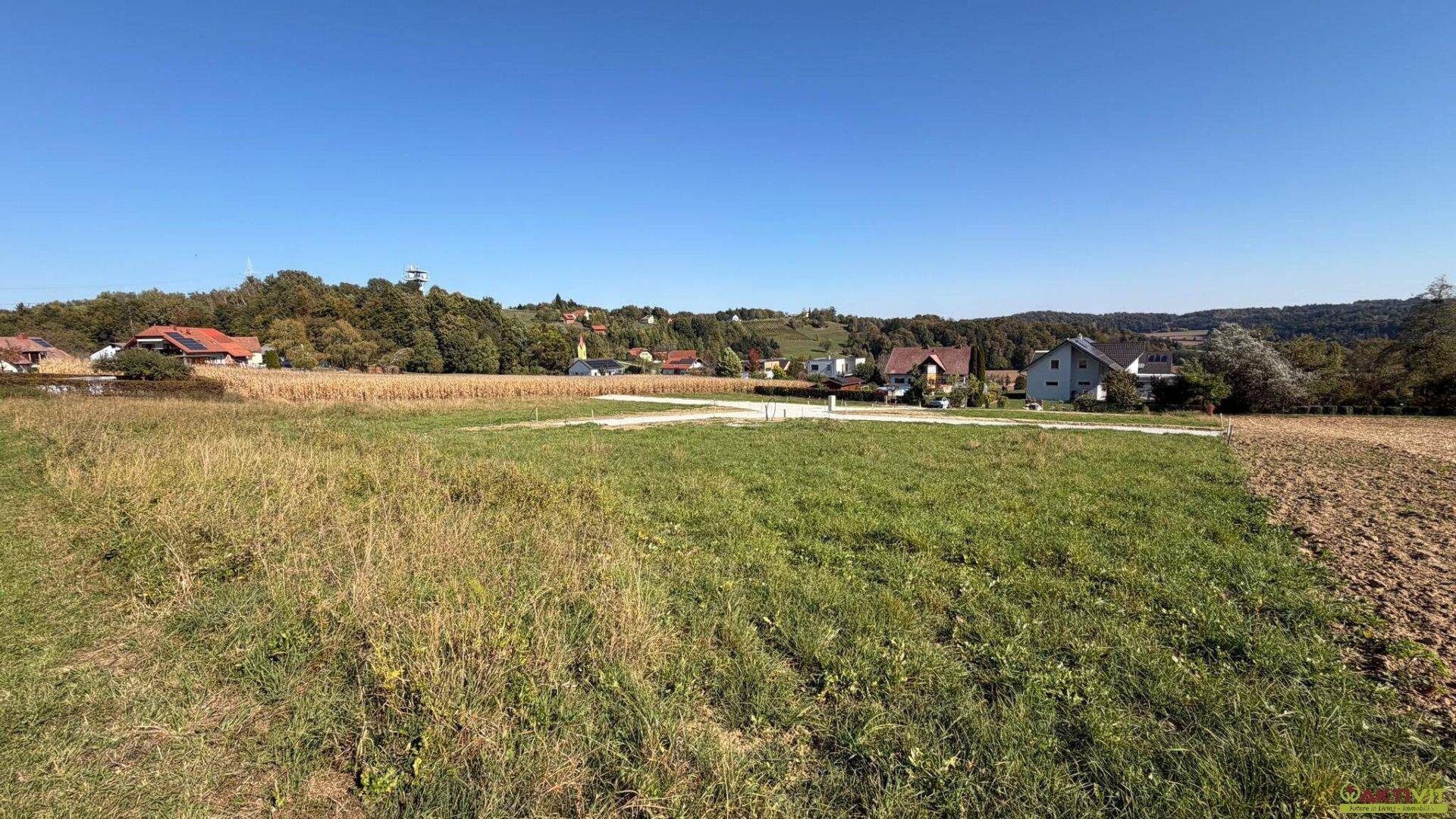 Panoramablick über ein grünes Feld mit verstreuten Häusern und bewaldeten Hügeln am Horizont.