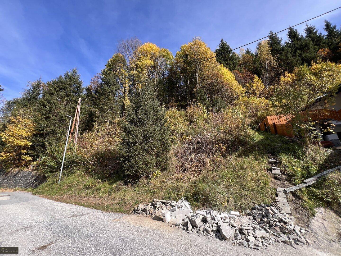 Blick auf ein bewachsenes Hanggrundstück neben einer Straße, umgeben von Bäumen und Natur.