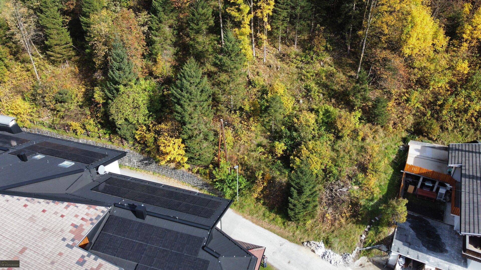 Luftaufnahme eines bewachsenen Hanggrundstücks neben einer Straße, umgeben von Wald und Häusern.