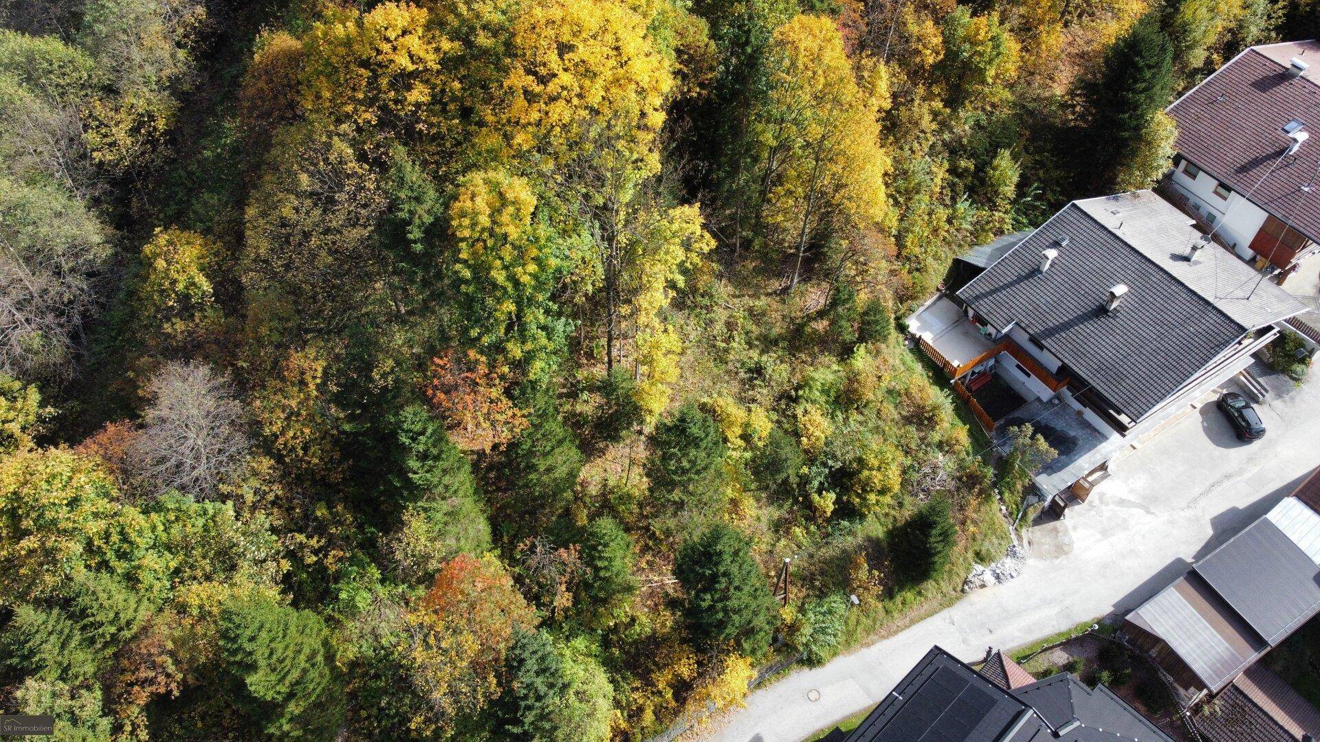 Luftaufnahme eines bewachsenen Hanggrundstücks, umgeben von herbstlichen Bäumen und angrenzenden Häusern.