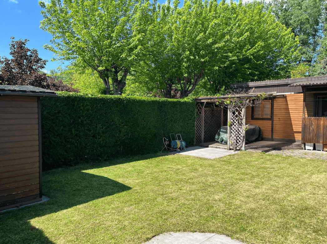 Großer, sonniger Garten mit Rasenfläche, Gartenhaus und Hecke, ideal zum Entspannen.