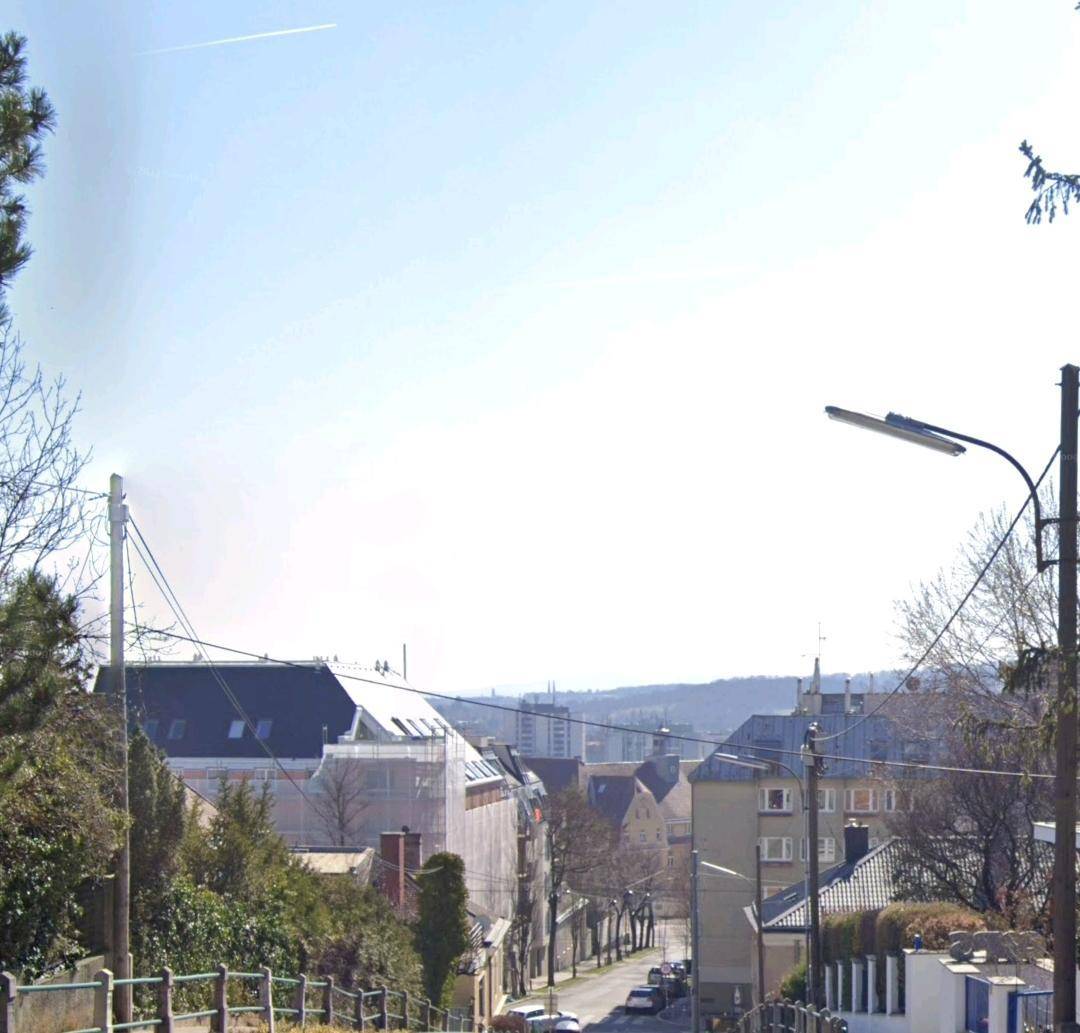Blick über eine Wohnstraße mit Häusern und Bäumen, die sich in der Ferne erstreckt.
