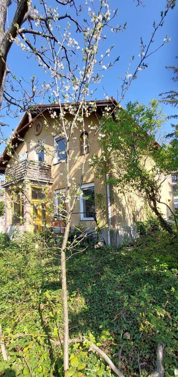 Älteres Haus mit gelber Fassade, umgeben von blühenden Bäumen und üppigem Grün.