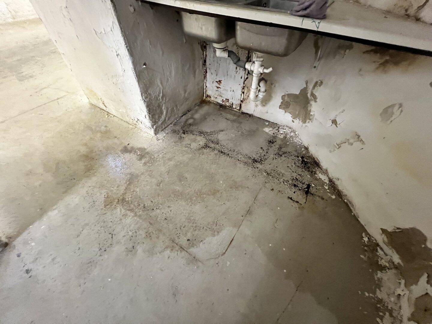 Kellerbereich mit Waschbecken und feuchten Stellen am Betonboden und den Wänden, renovierungsbedürftig.