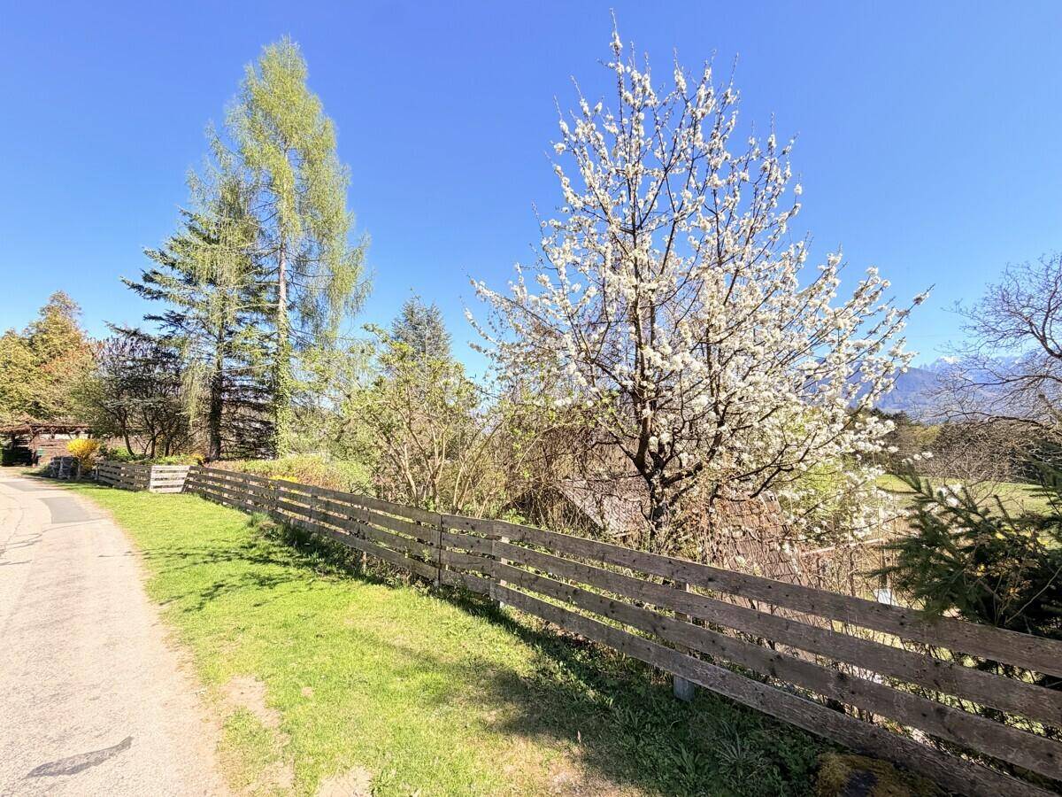 Ländlicher Weg mit Holzzaun, blühendem Baum und Blick auf die umliegende Berglandschaft.
