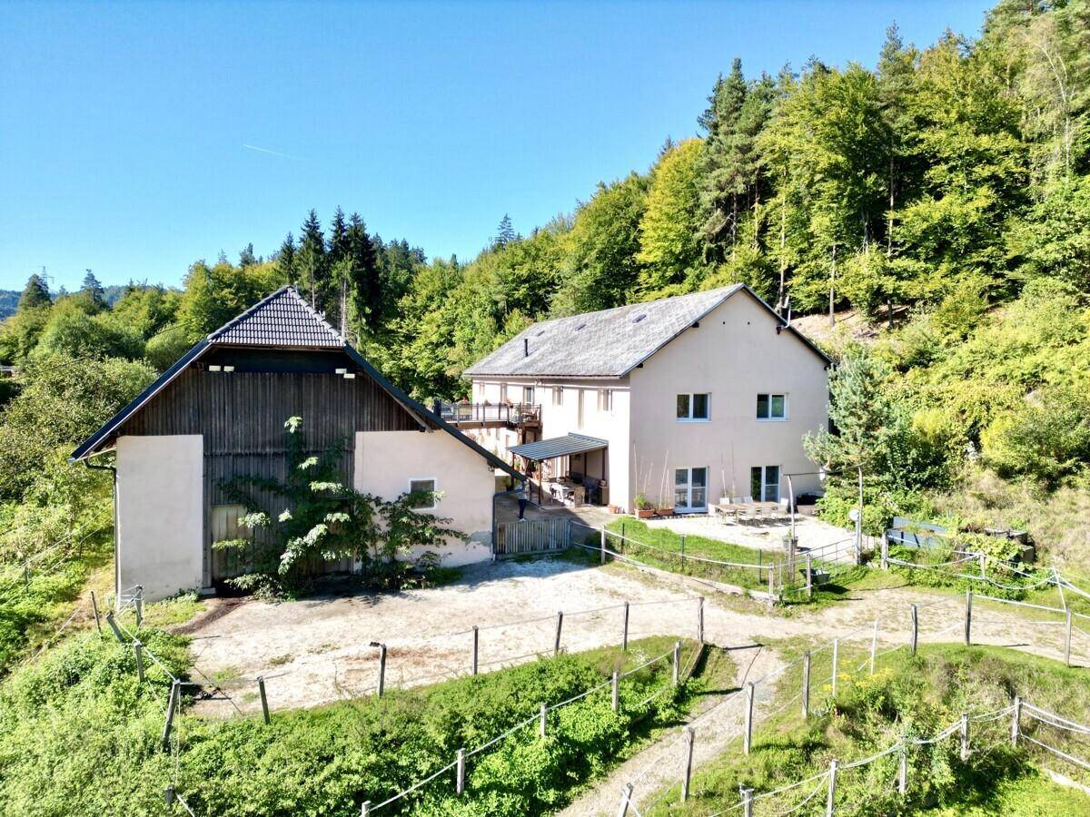 Luftaufnahme des Anwesens mit Wohnhaus und Nebengebäude, umgeben von Wald und Grünflächen.