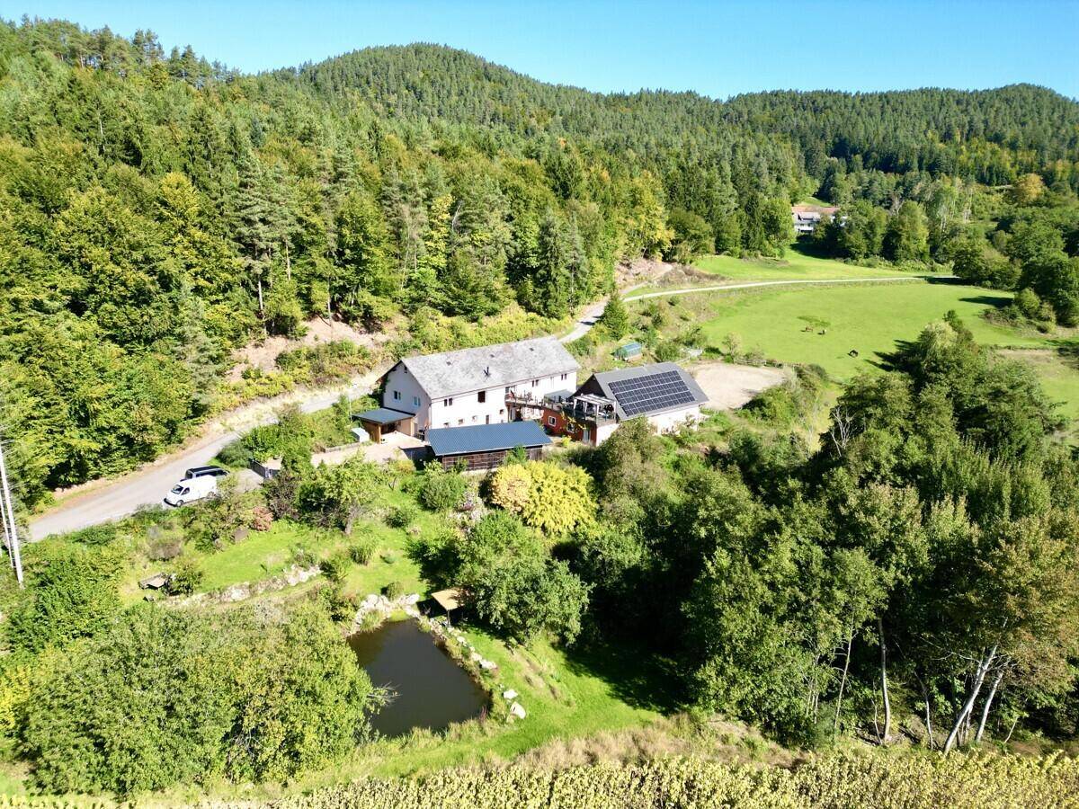 Luftaufnahme eines Anwesens mit Wohnhaus, Nebengebäuden, Teich und Photovoltaikanlage inmitten grüner Natur.