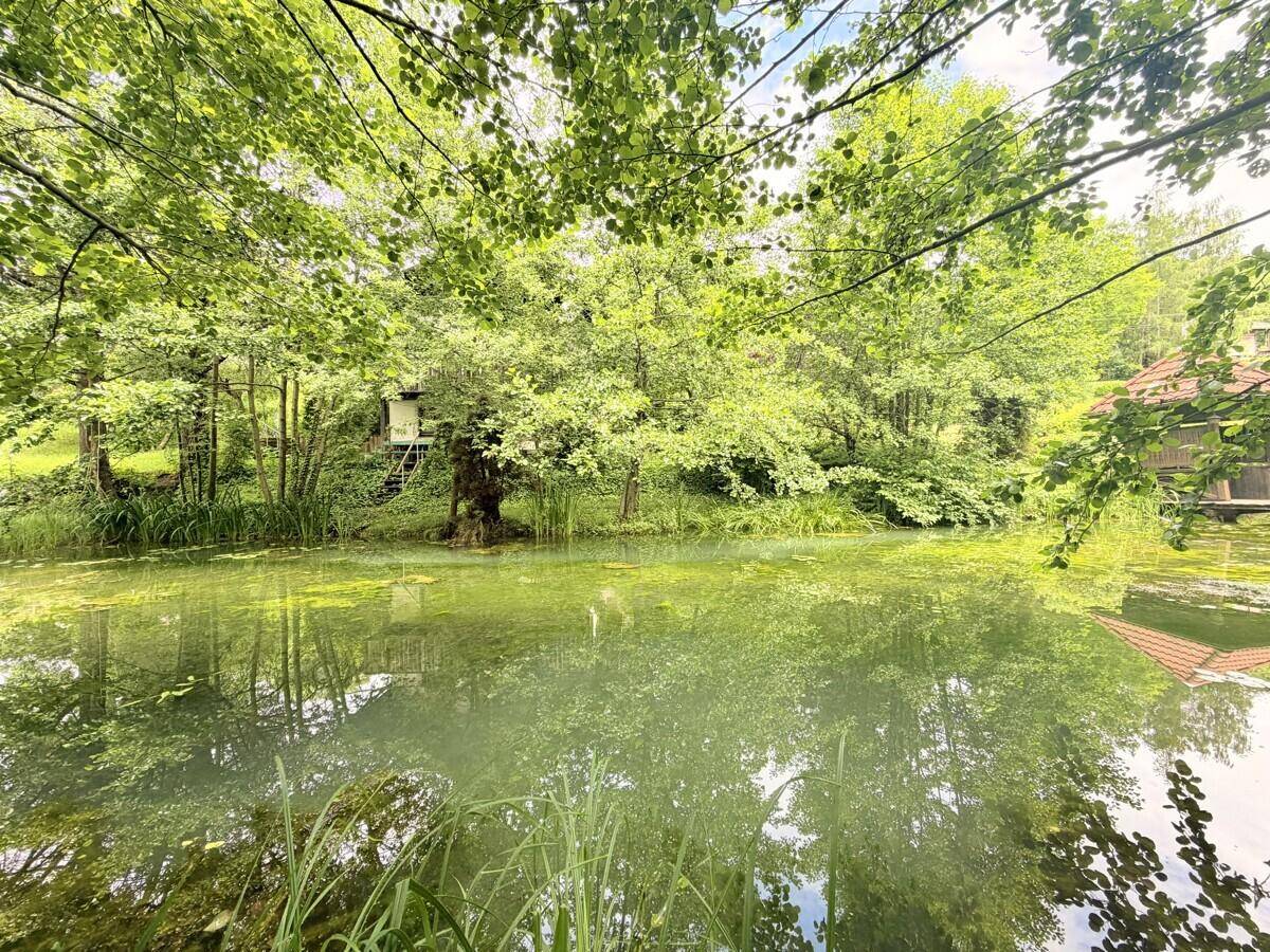 Ferienhaus mit weitläufigem Grundstück, Schwimmteich und natürlichem Wasserlauf - View 2
