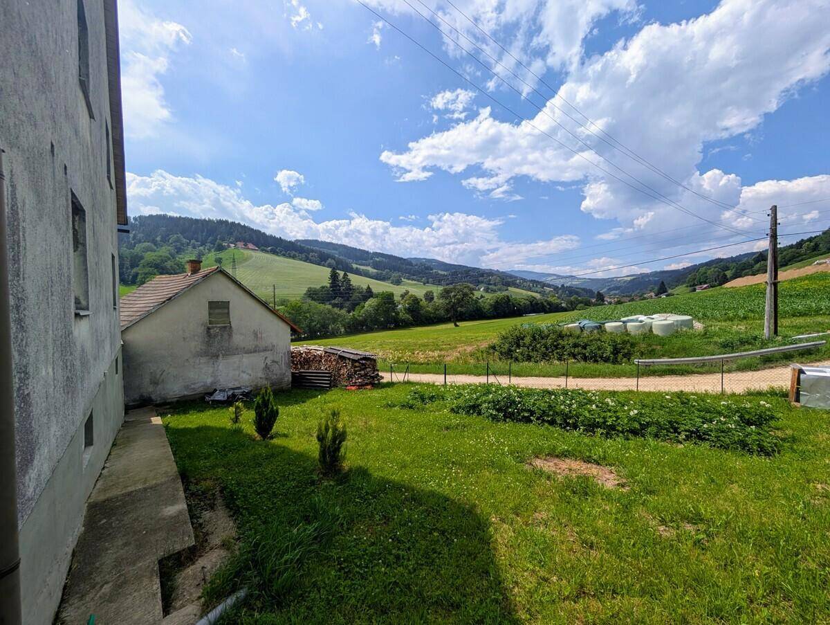 Naturnahes Familienhaus in idyllischer Alleinlage bei Wolfsberg - Ansicht 4