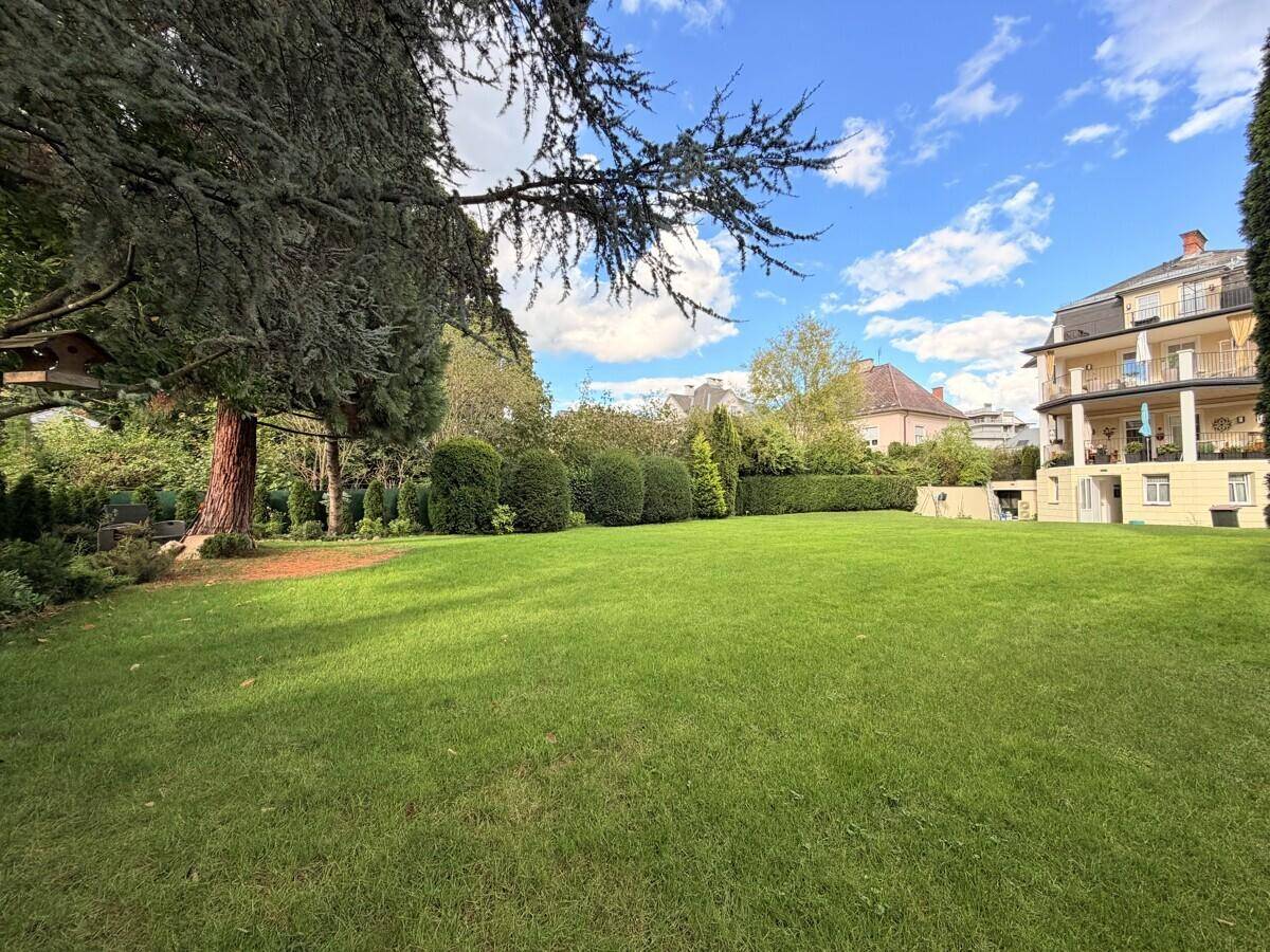 Sonniger Garten mit weitläufigem Rasen und altem Baumbestand, mit Blick auf ein benachbartes Gebäude.