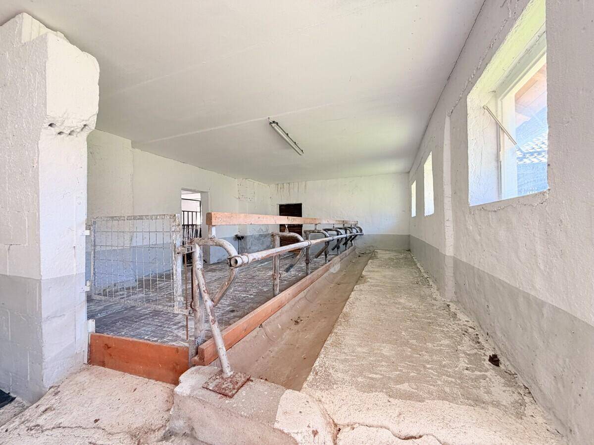 Heller, sauberer Raum mit Betonwänden und Metallgittern, der als Stall oder Lagerraum genutzt werden könnte.