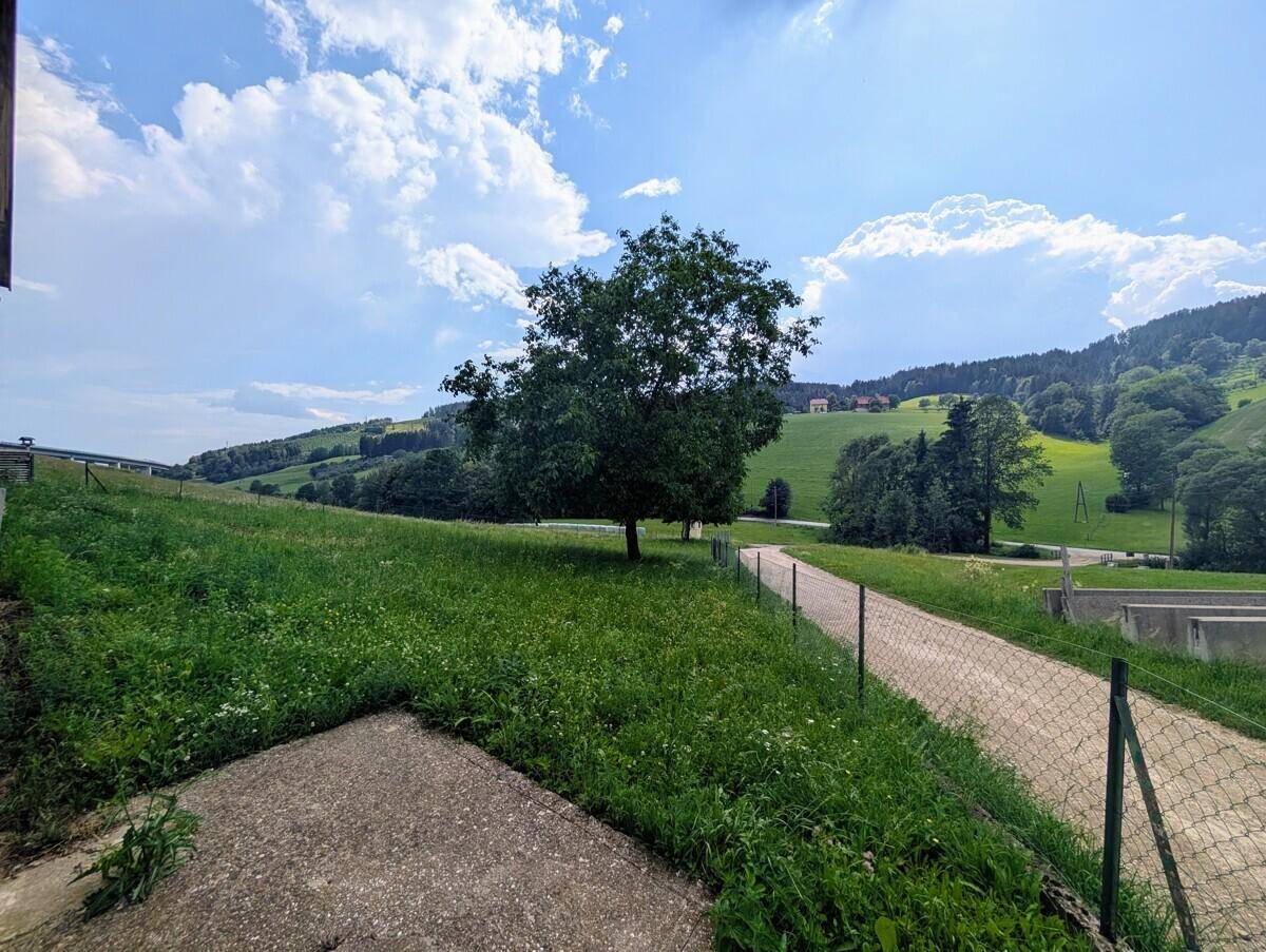 Naturnahes Familienhaus in idyllischer Alleinlage bei Wolfsberg - Ansicht 5