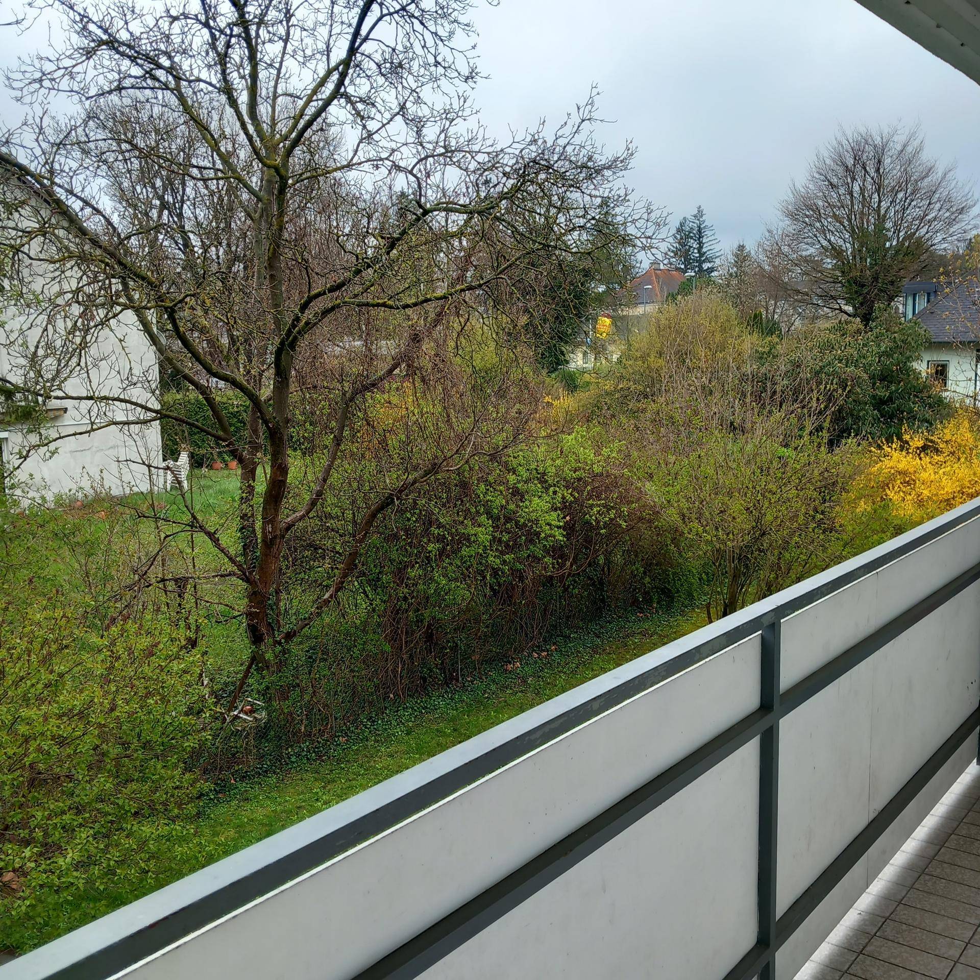 Blick vom Balkon auf eine üppige grüne Gartenlandschaft mit Bäumen und Sträuchern.
