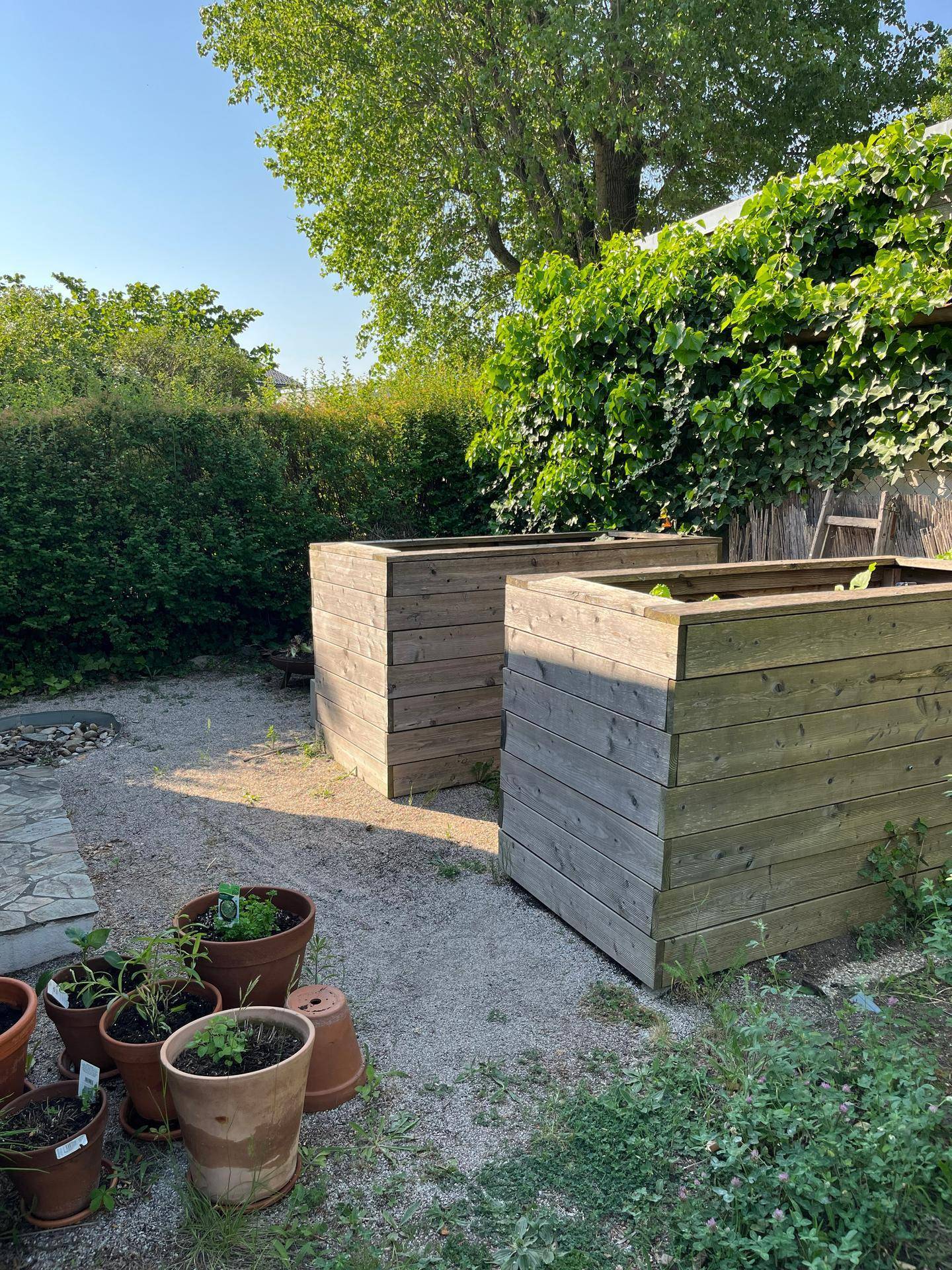 Kleiner Gartenbereich mit Hochbeeten und Topfpflanzen, umgeben von Hecken.