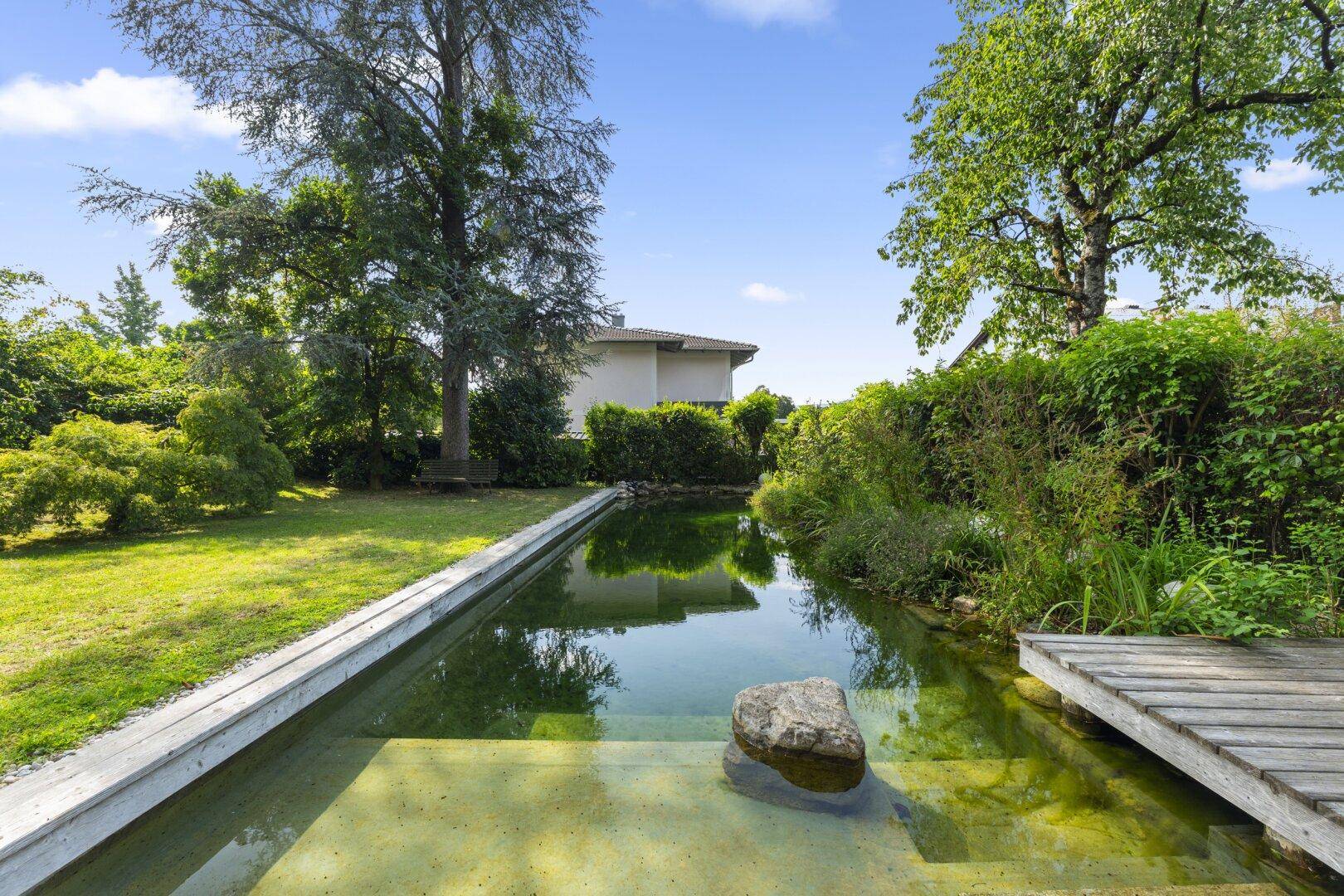 Natürlicher Schwimmteich im Garten mit Holzsteg und üppiger Bepflanzung.