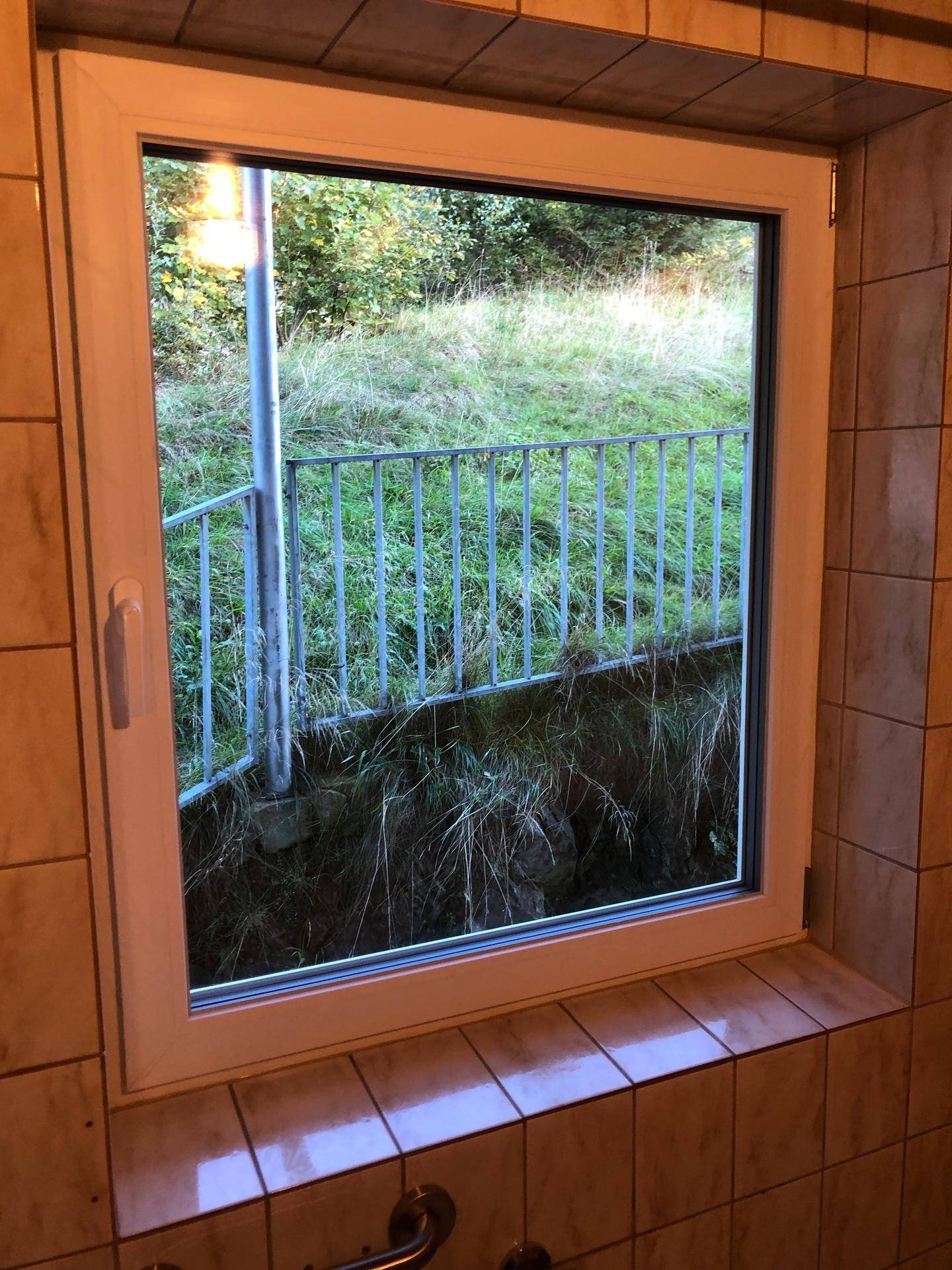 Badezimmerfenster mit Blick ins Grüne und einer Metallreling im Außenbereich.