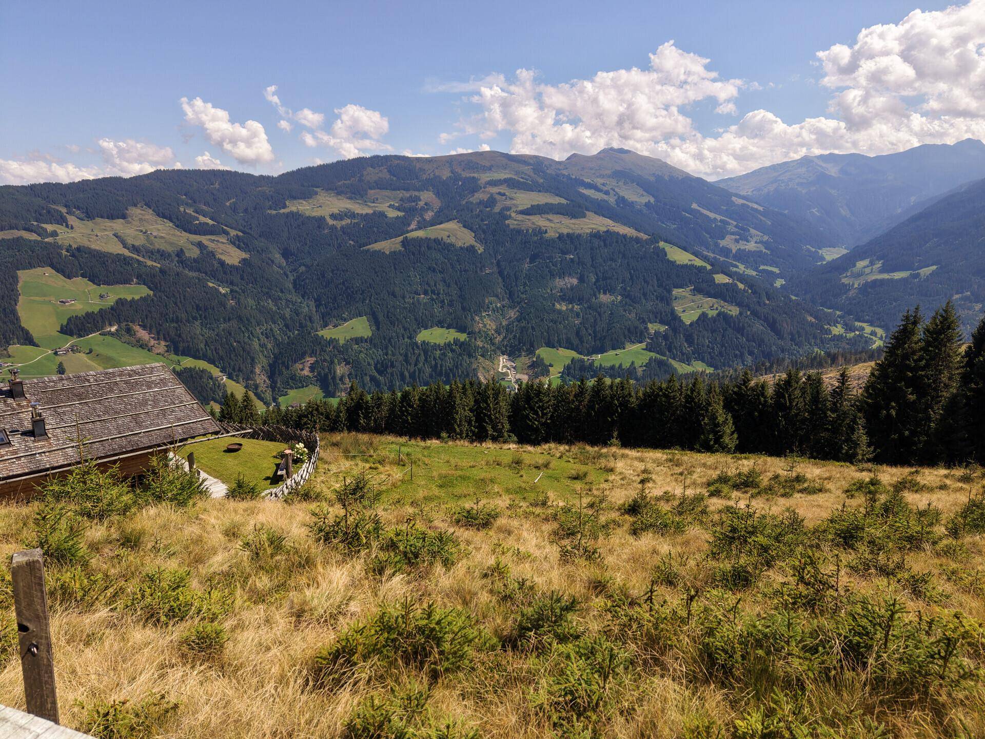 Freiblick