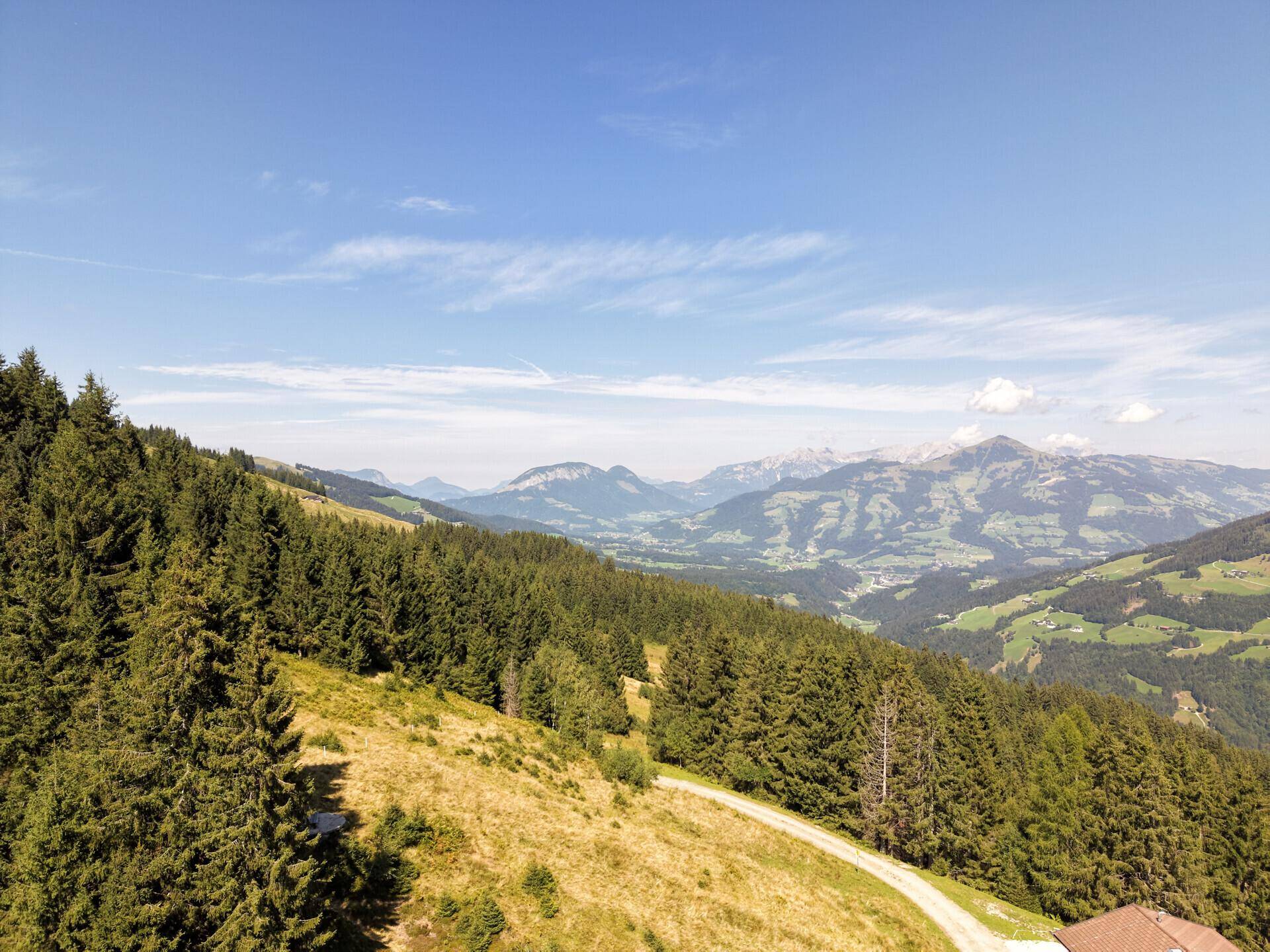 Ausblick