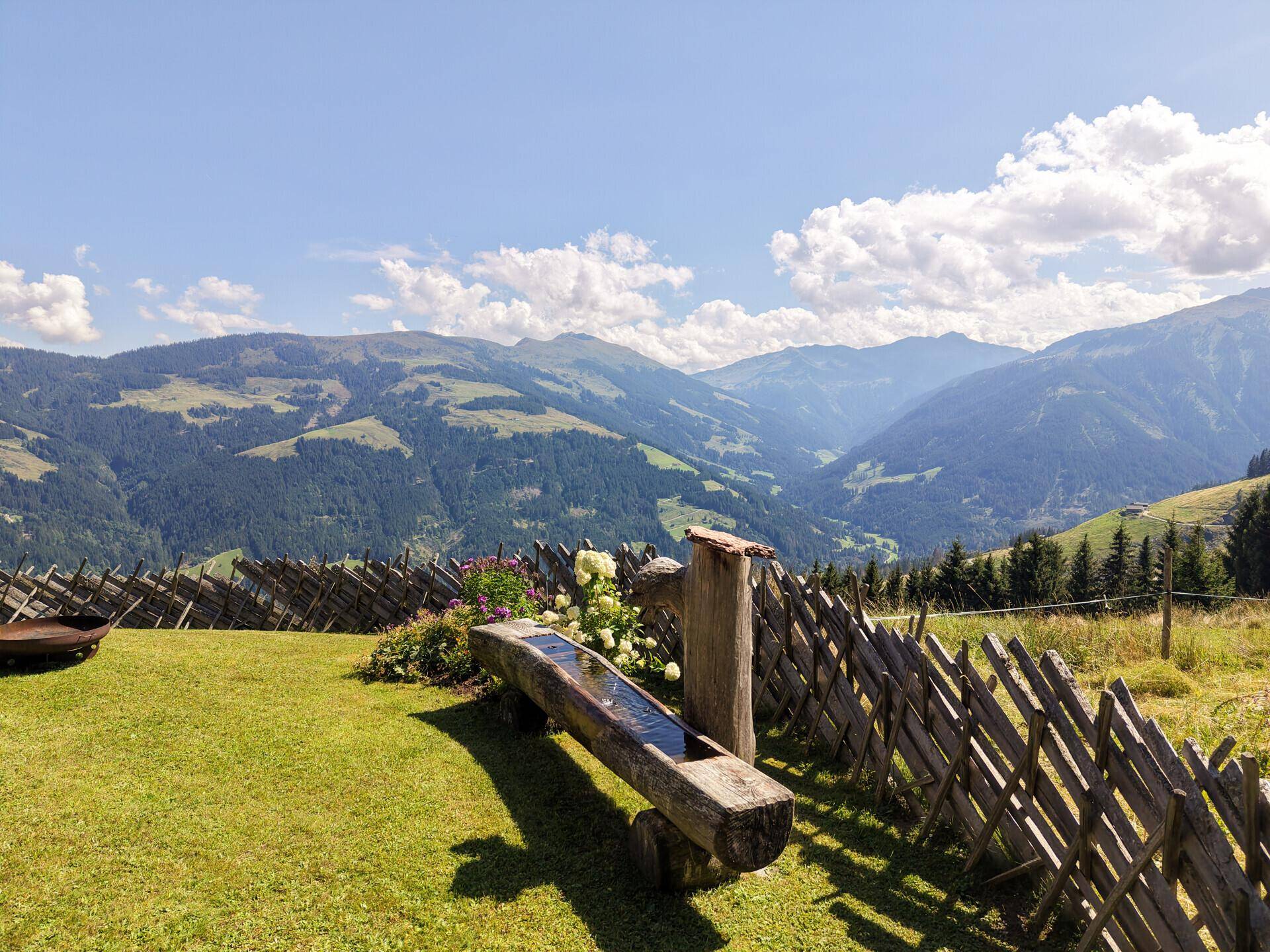 Freiblick
