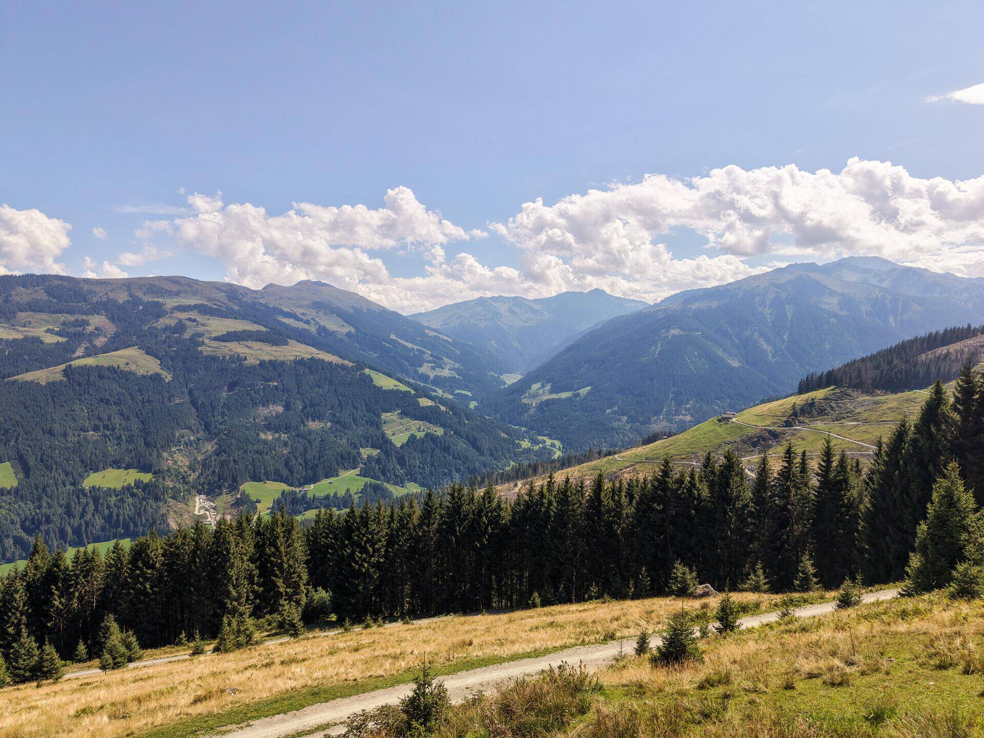 Freiblick