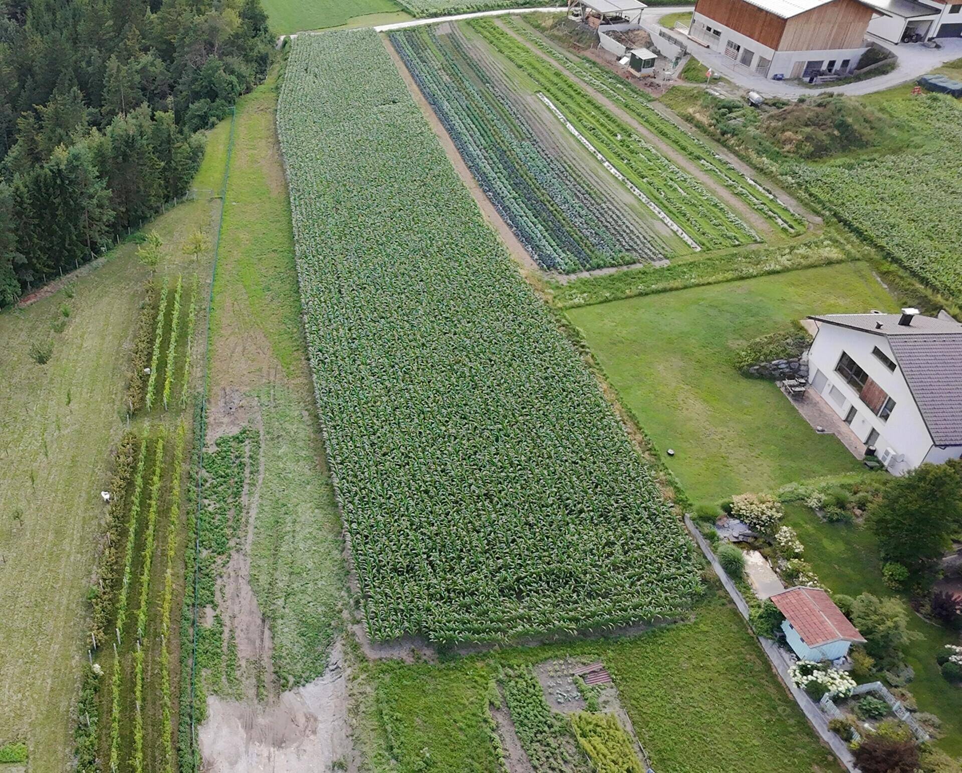 Luftaufnahme von großen landwirtschaftlichen Feldern, Weinbergen und einem modernen Haus.
