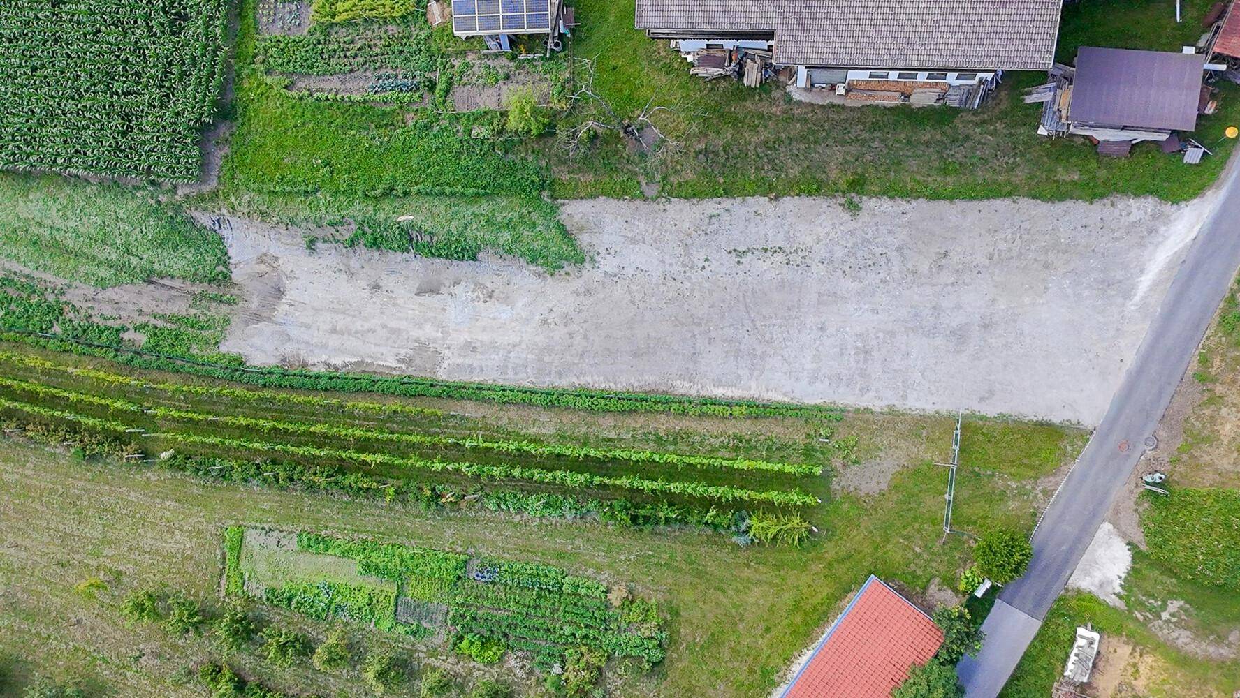 Senkrechte Luftaufnahme von Feldern, Weinbergen, einer Straße und angrenzenden Gebäuden.