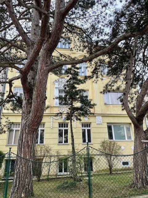 Historische Fassade eines Gebäudes mit hohen Bäumen im Vordergrund und dekorativen Elementen.