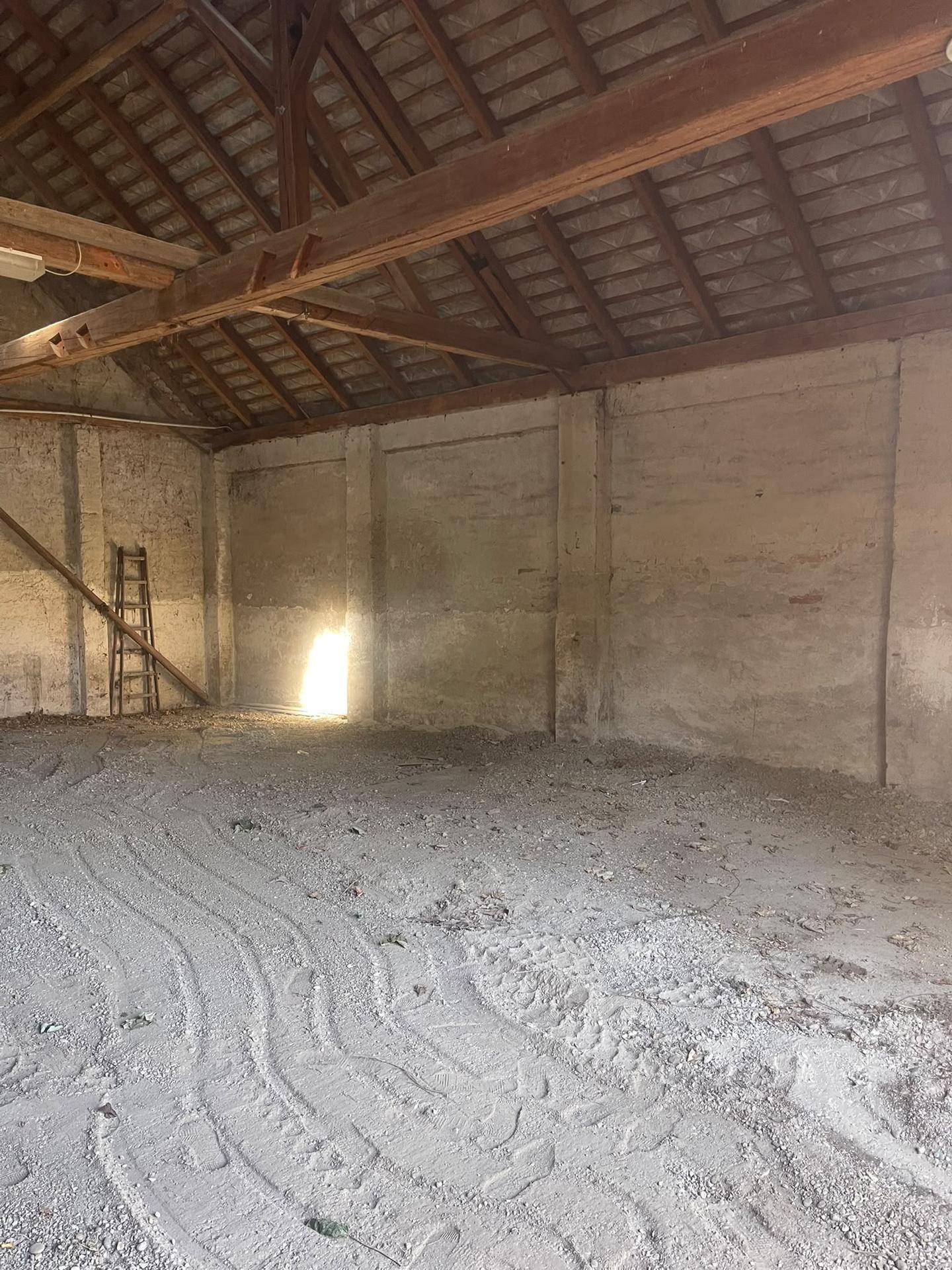 Geräumiger Innenbereich einer Lagerhalle mit sichtbarer Holzdachkonstruktion und viel natürlichem Licht.