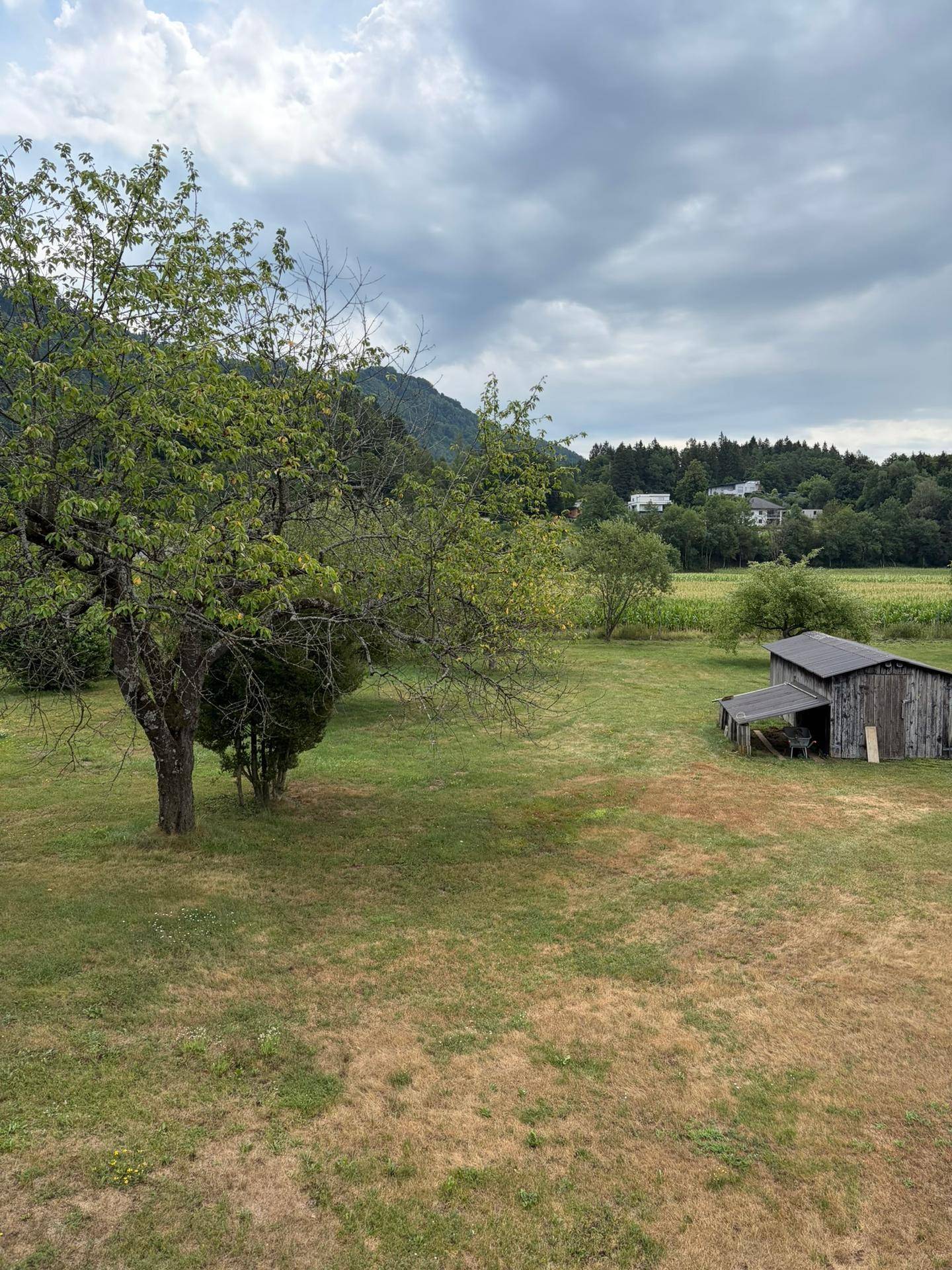 Weitläufiger Garten mit altem Baumbestand, einer kleinen Scheune und Bergblick unter bewölktem Himmel.