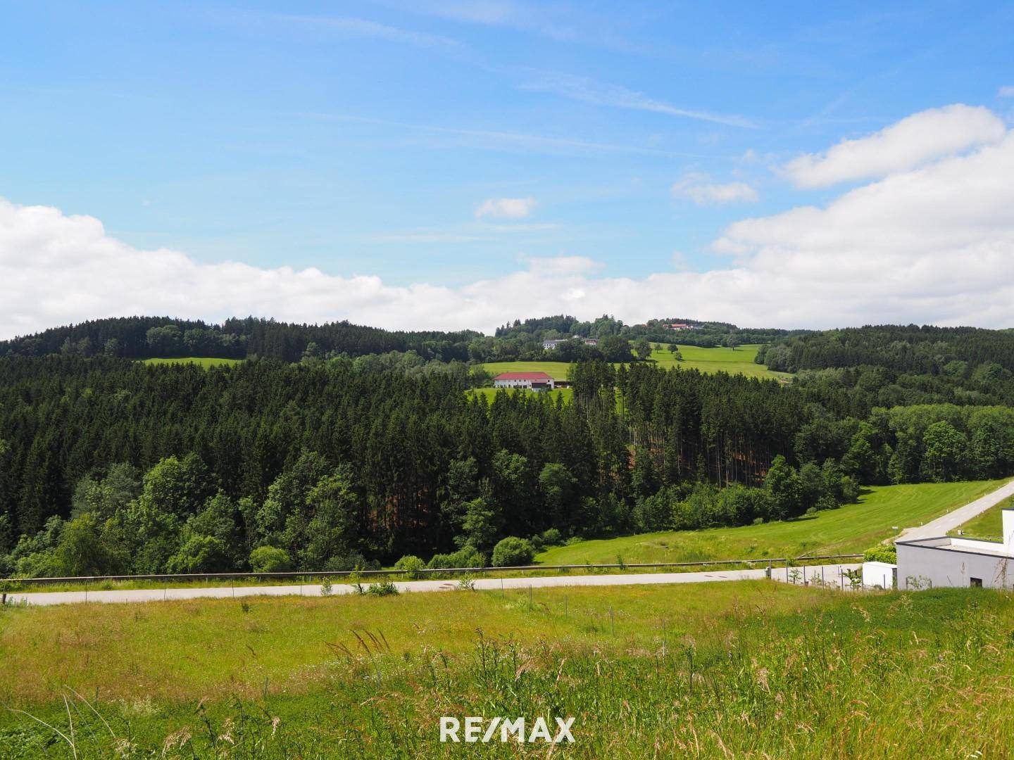 Blickrichtung Süden