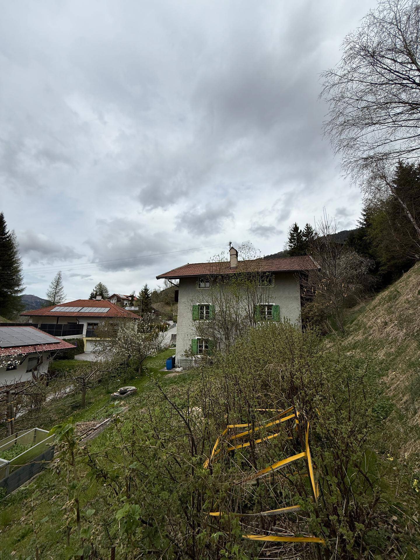 Slide 8