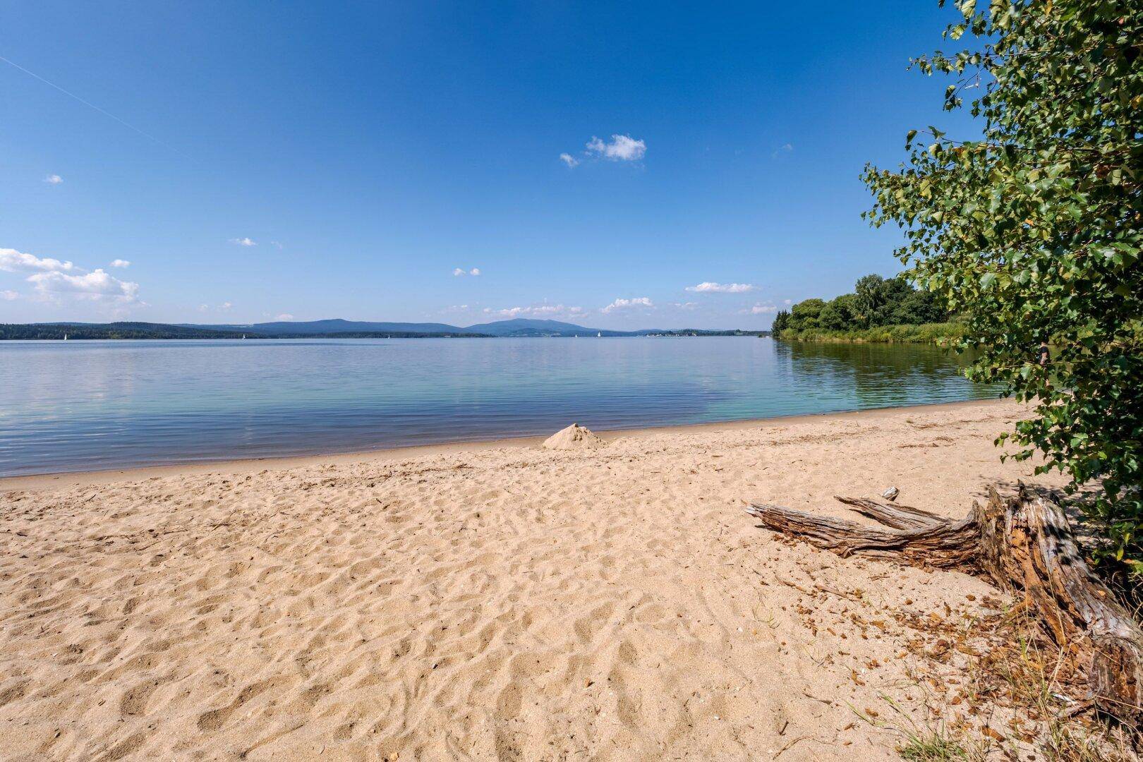 Idyllischer Sandstrand am See mit einem Baumstamm im Vordergrund und blauem Himmel.