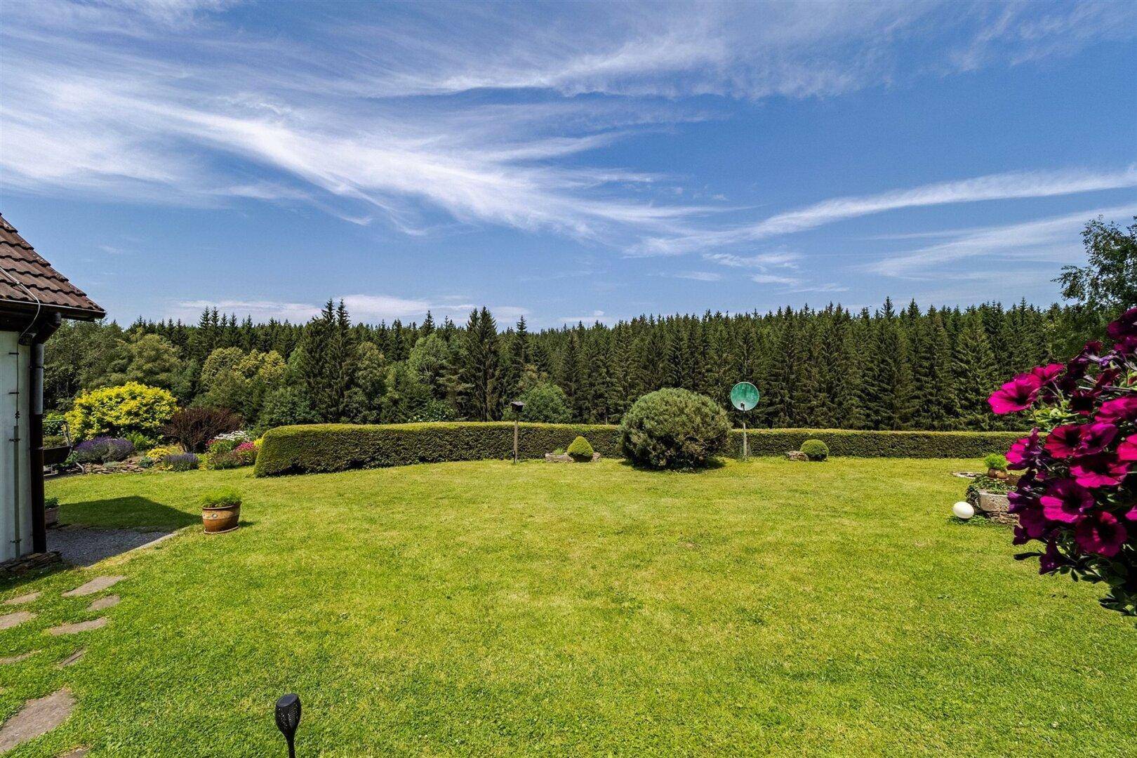 Weitläufige Rasenfläche im Garten mit gepflegter Hecke und Blick auf den umliegenden Wald.
