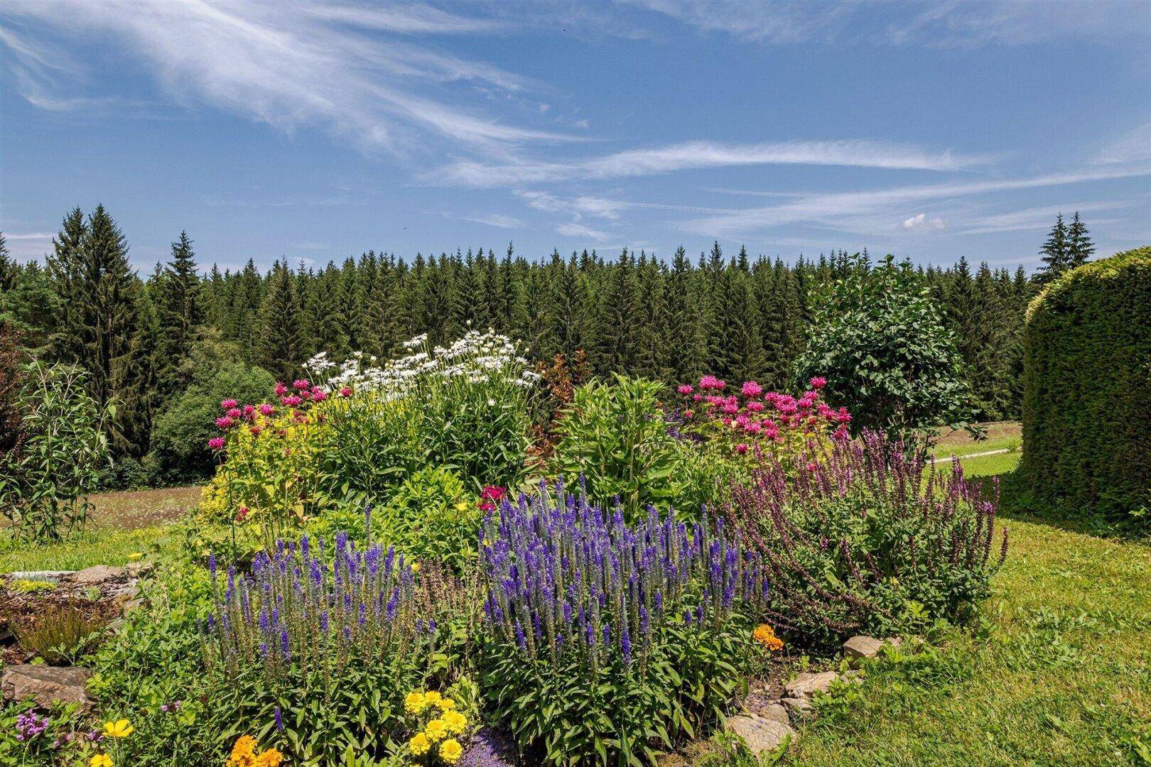 Farbenprächtige Blumenbeete im Garten mit üppiger Vegetation und einem weiten Waldblick.