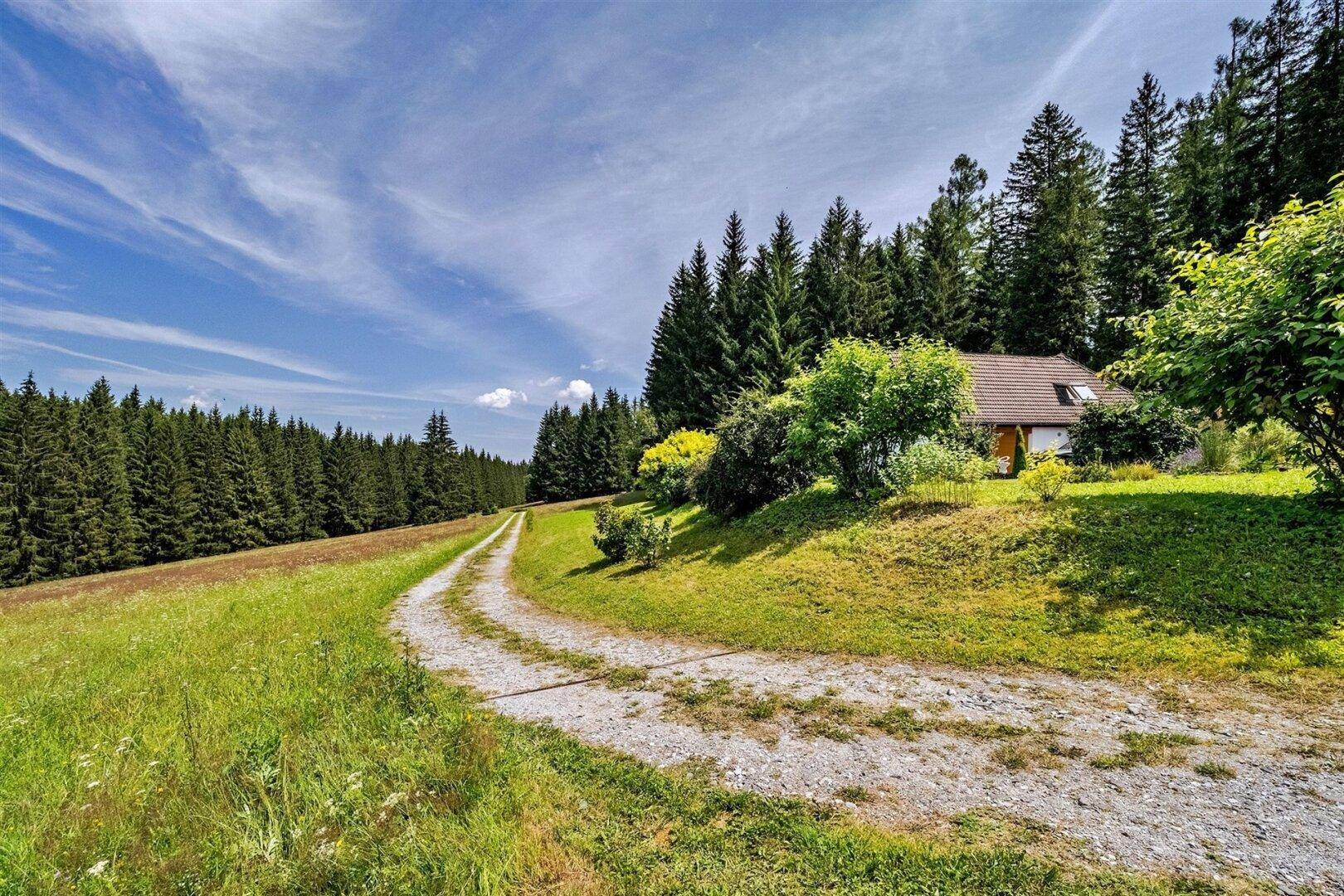 Geschwungene Zufahrt durch grüne Landschaft, umgeben von dichtem Wald und Natur.
